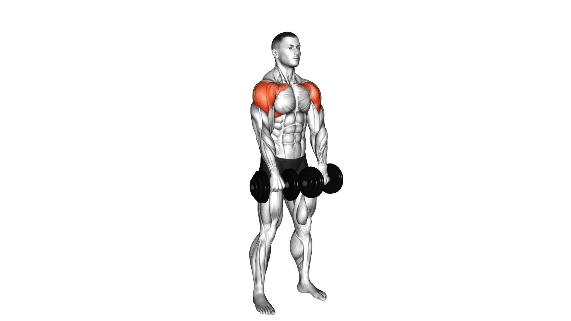 Dumbbell Empty Can Exercise exercise demonstration