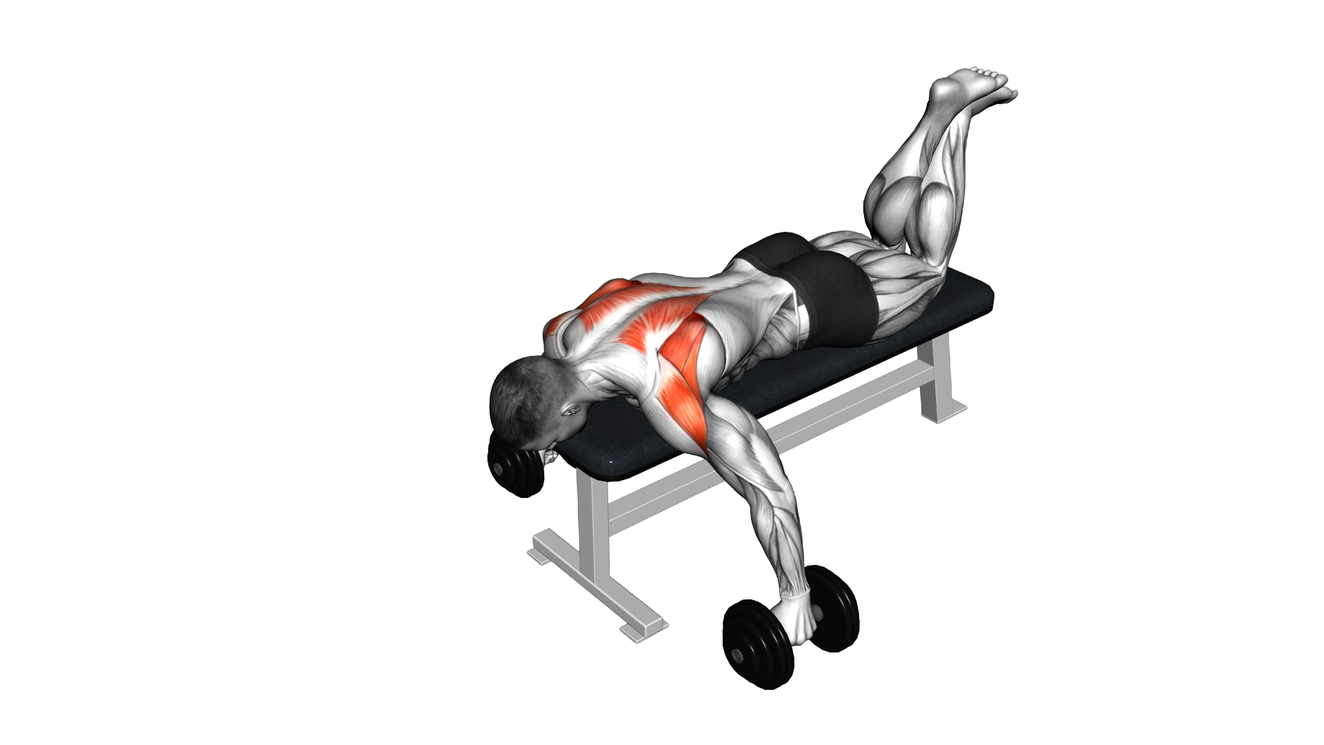 Dumbbell Prone Full Can Exercise exercise demonstration