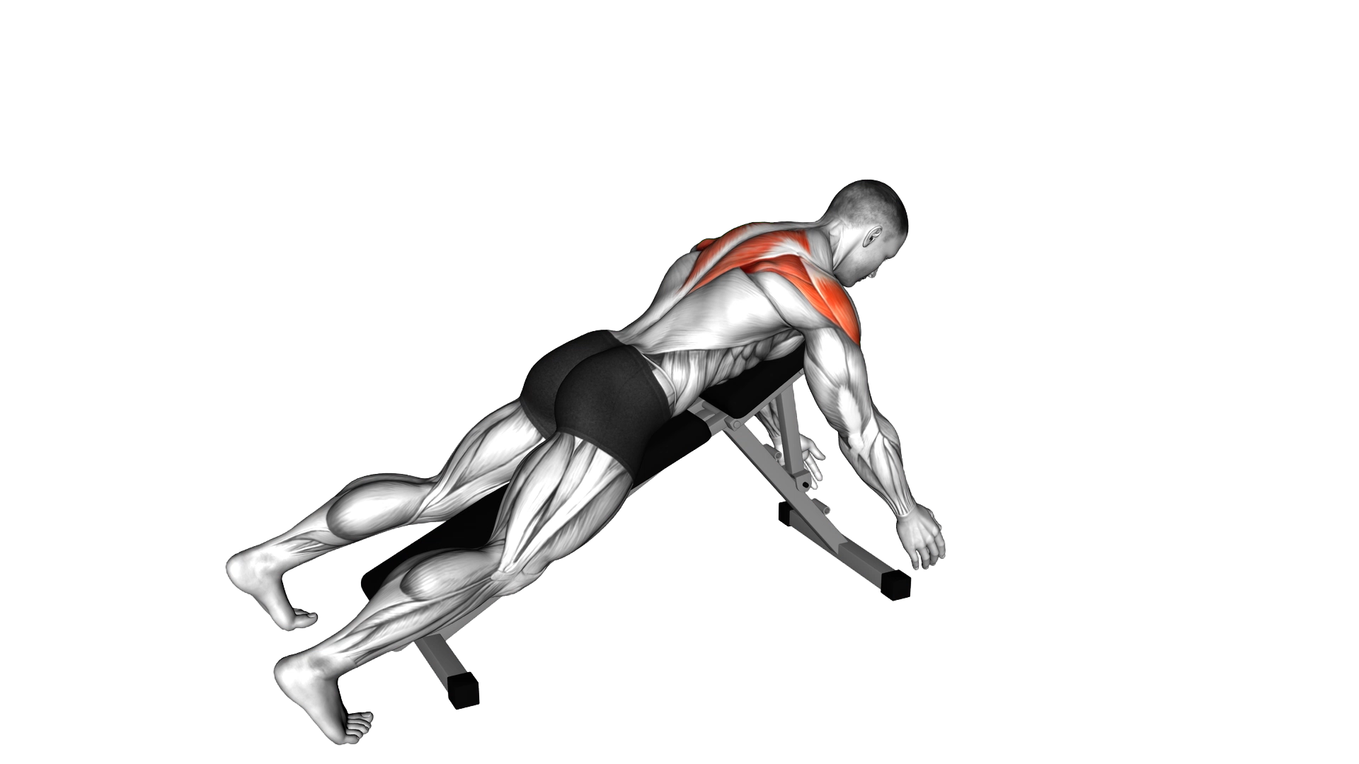 Prone Y Raise exercise thumbnail