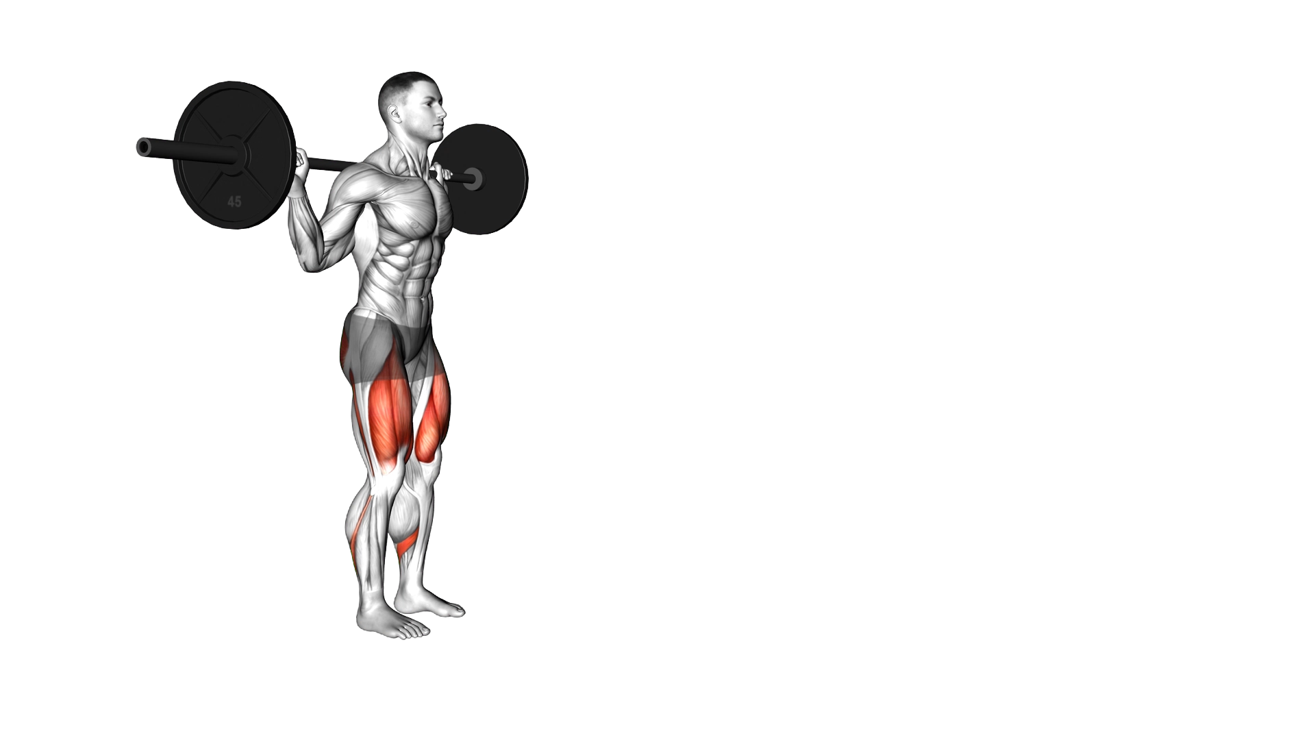 Barbell Walking Lunge exercise demonstration