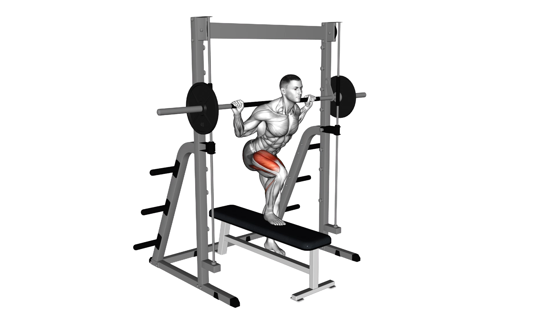 Smith Lateral Step Up exercise demonstration