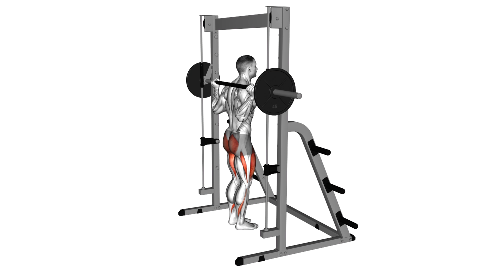 Smith Rear Lunge exercise demonstration