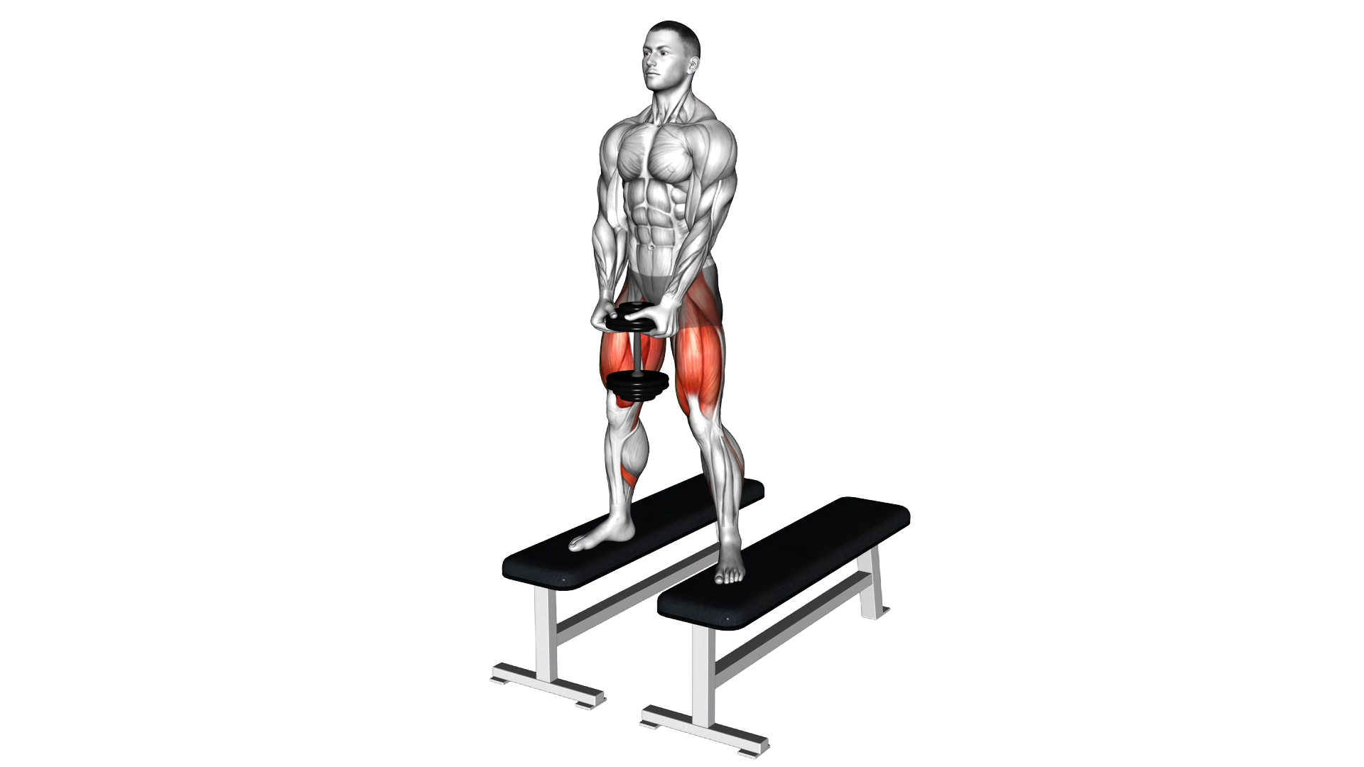 Dumbbell Sumo Squat Off Benches exercise demonstration