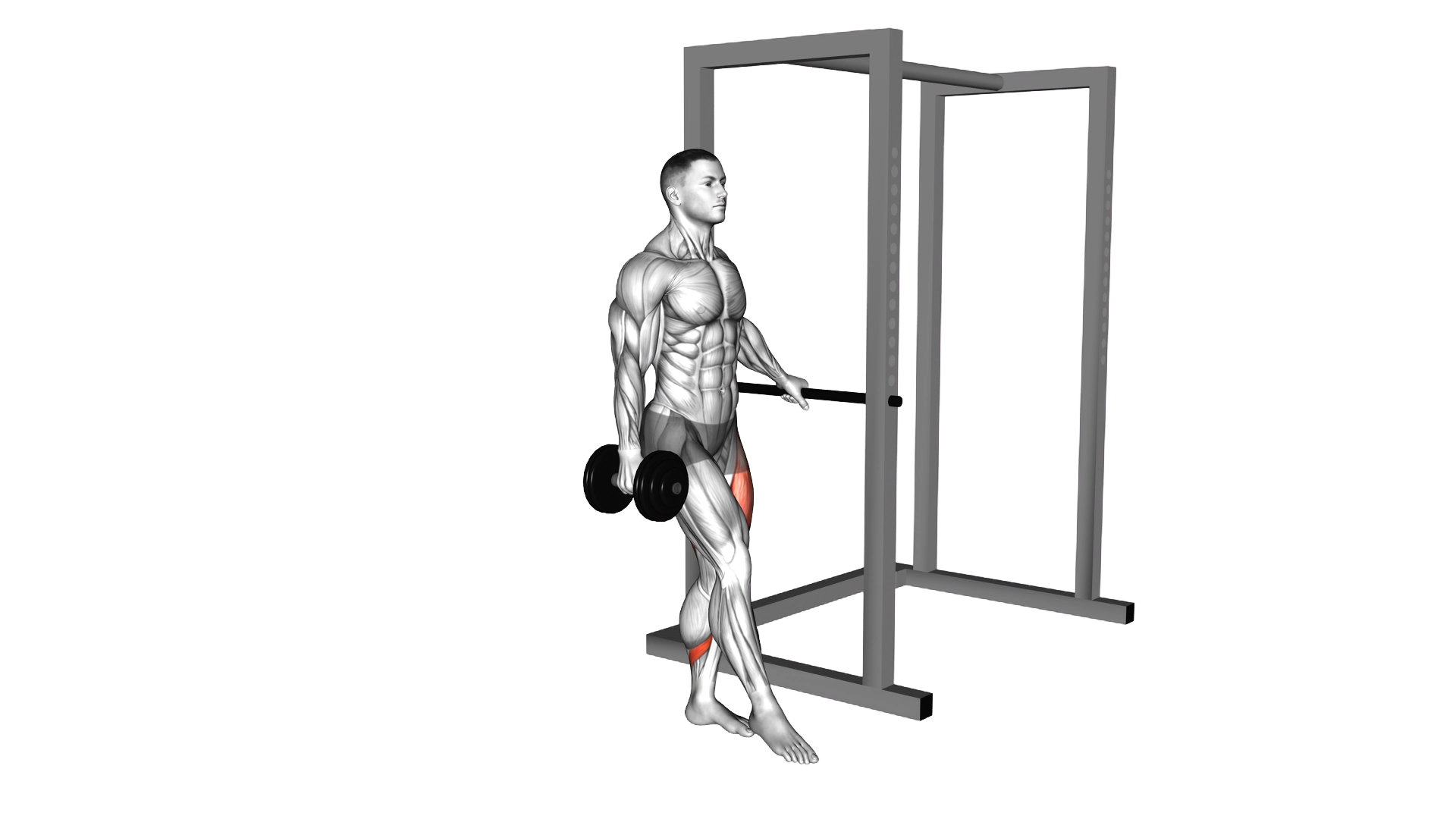 Dumbbell Single Leg Squat with Support (pistol) exercise demonstration