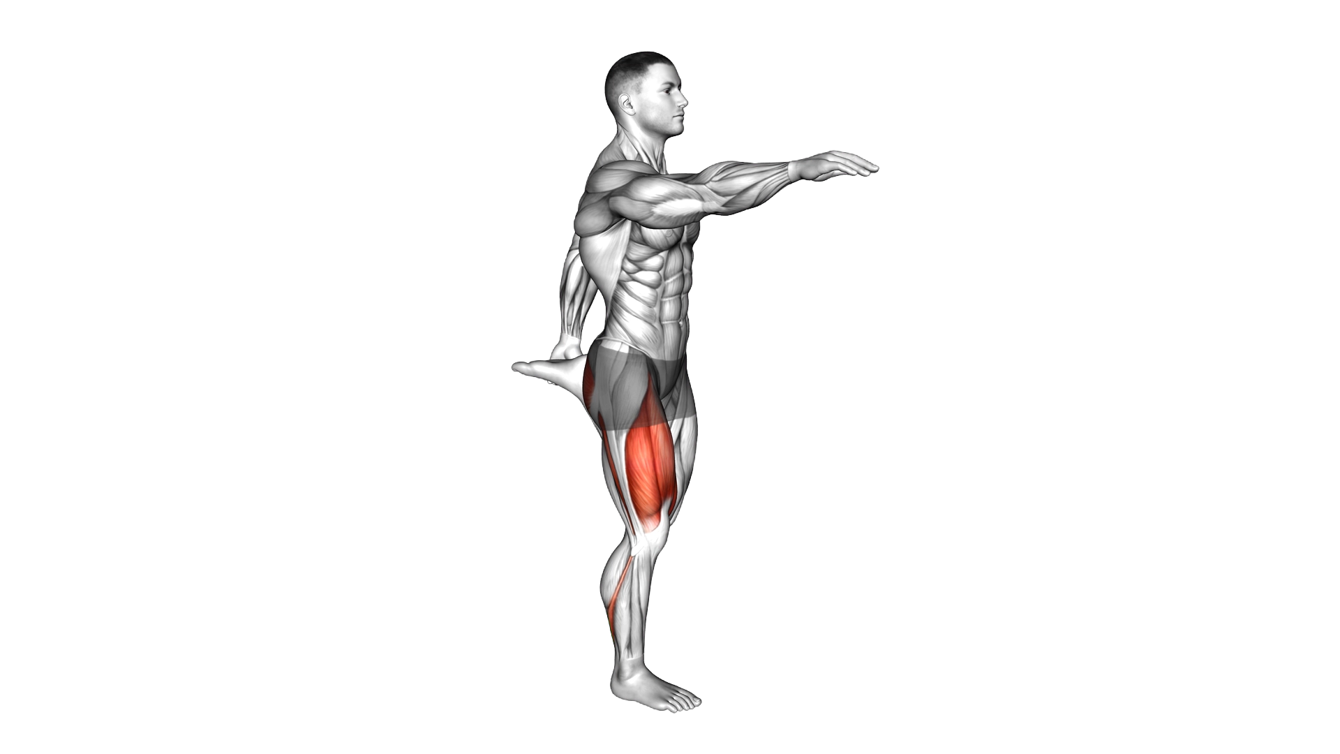 Shrimp Squat exercise demonstration