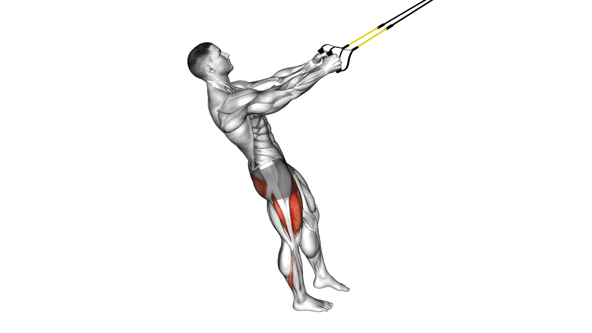 Suspender Single Leg Squat exercise demonstration