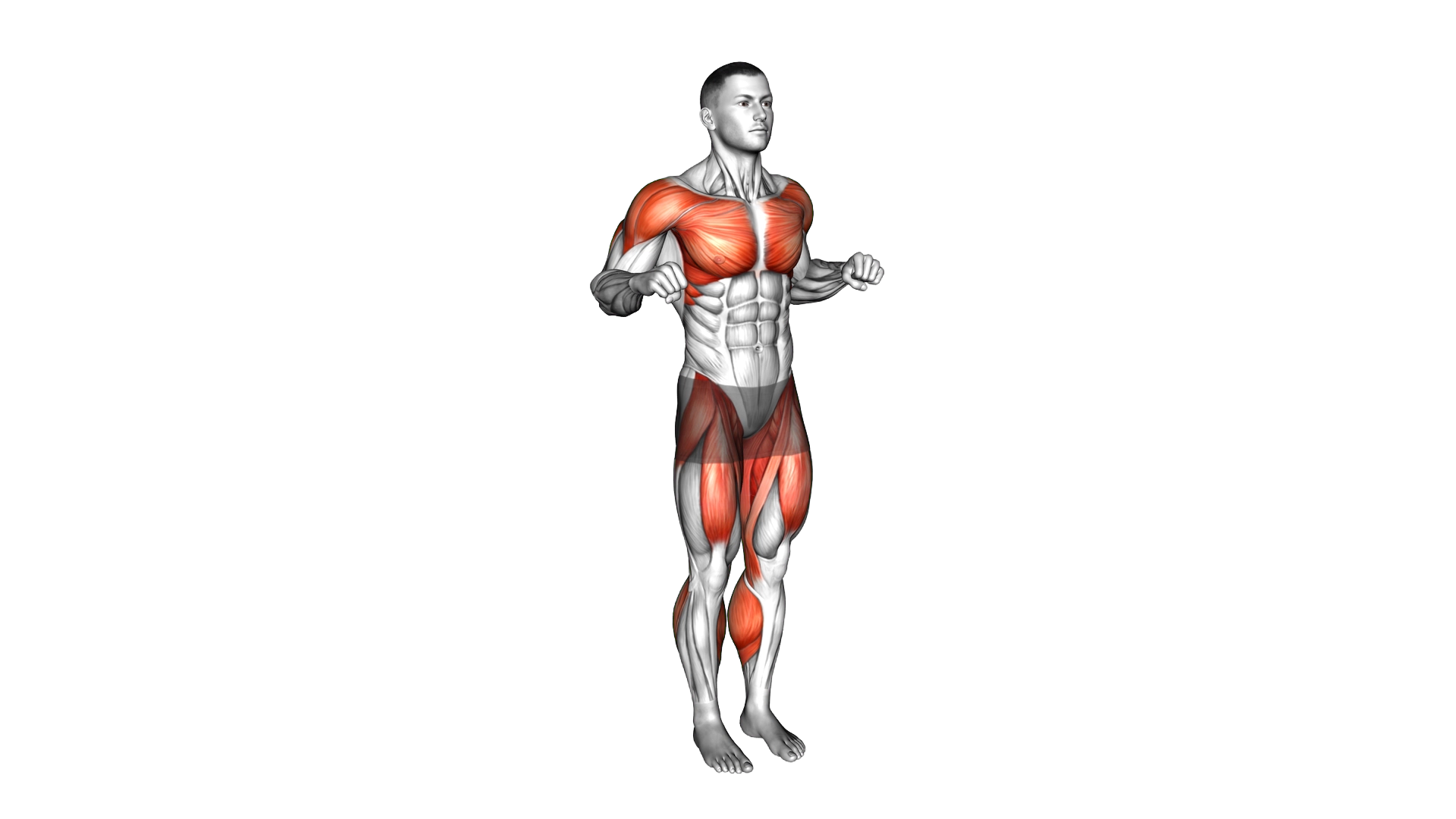 Double Punch Front Leg Lift exercise demonstration
