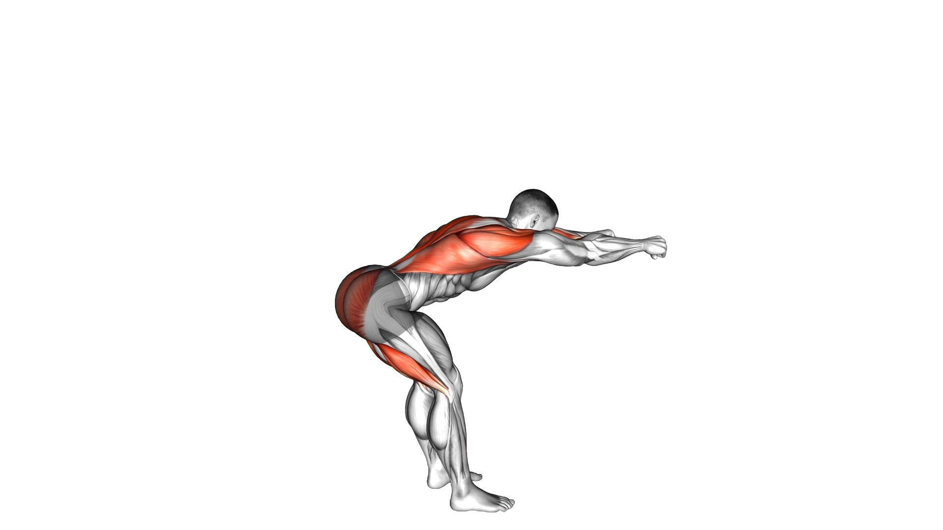Bodyweight Good Morning Row exercise demonstration