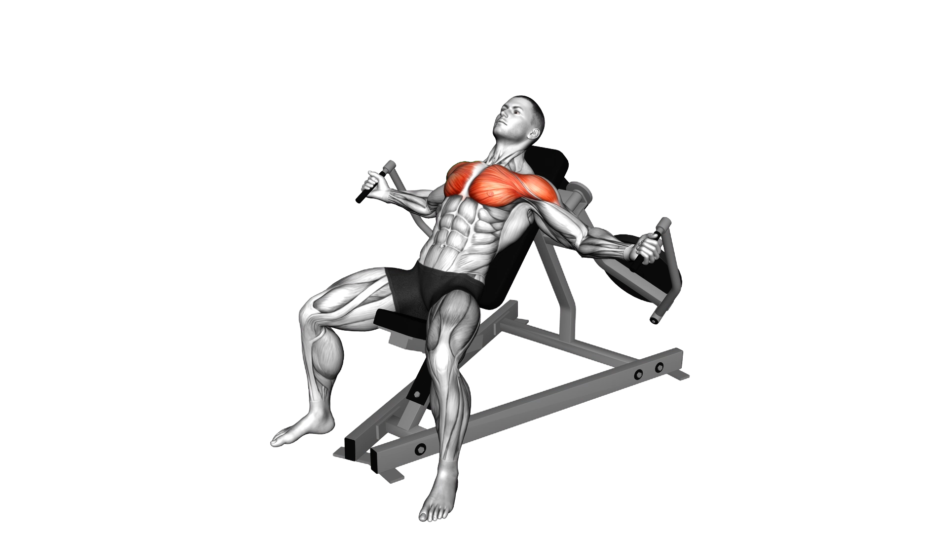 Lever Incline Fly exercise demonstration