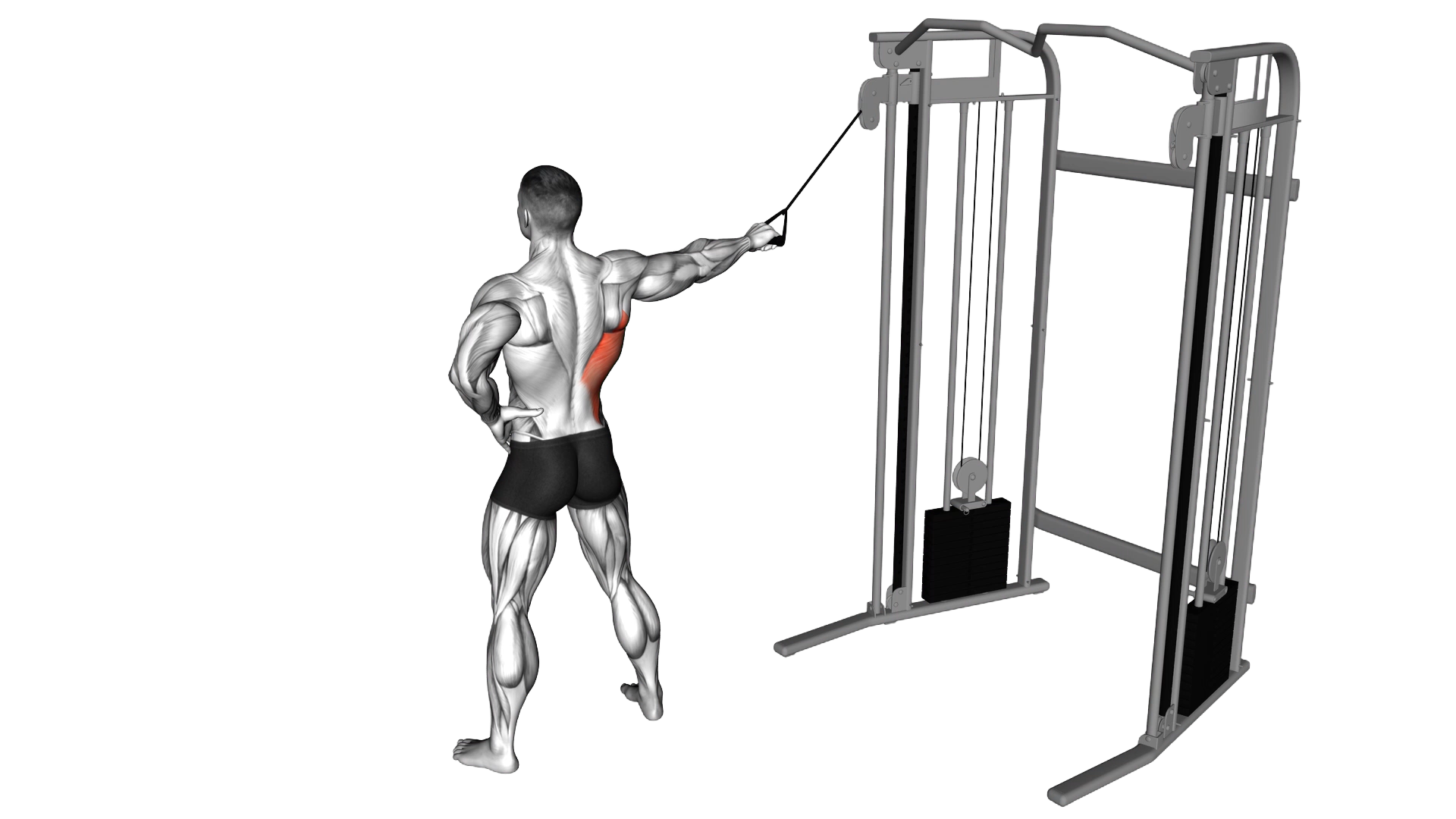 Single Arm Side Straight Arm Lat Pulldown exercise demonstration