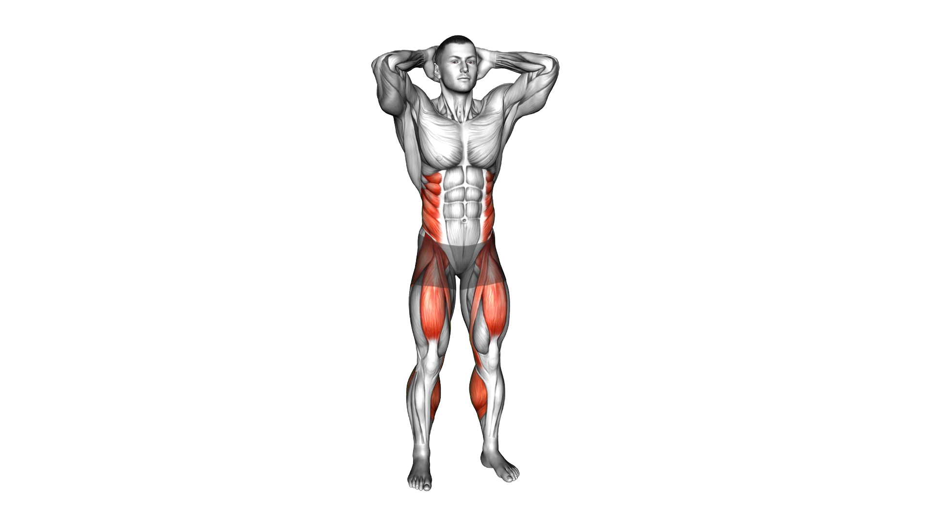 Standing Side Crunch exercise demonstration