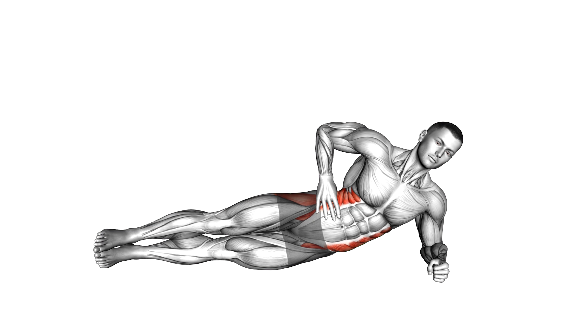 Lying Obliques Scissors exercise demonstration