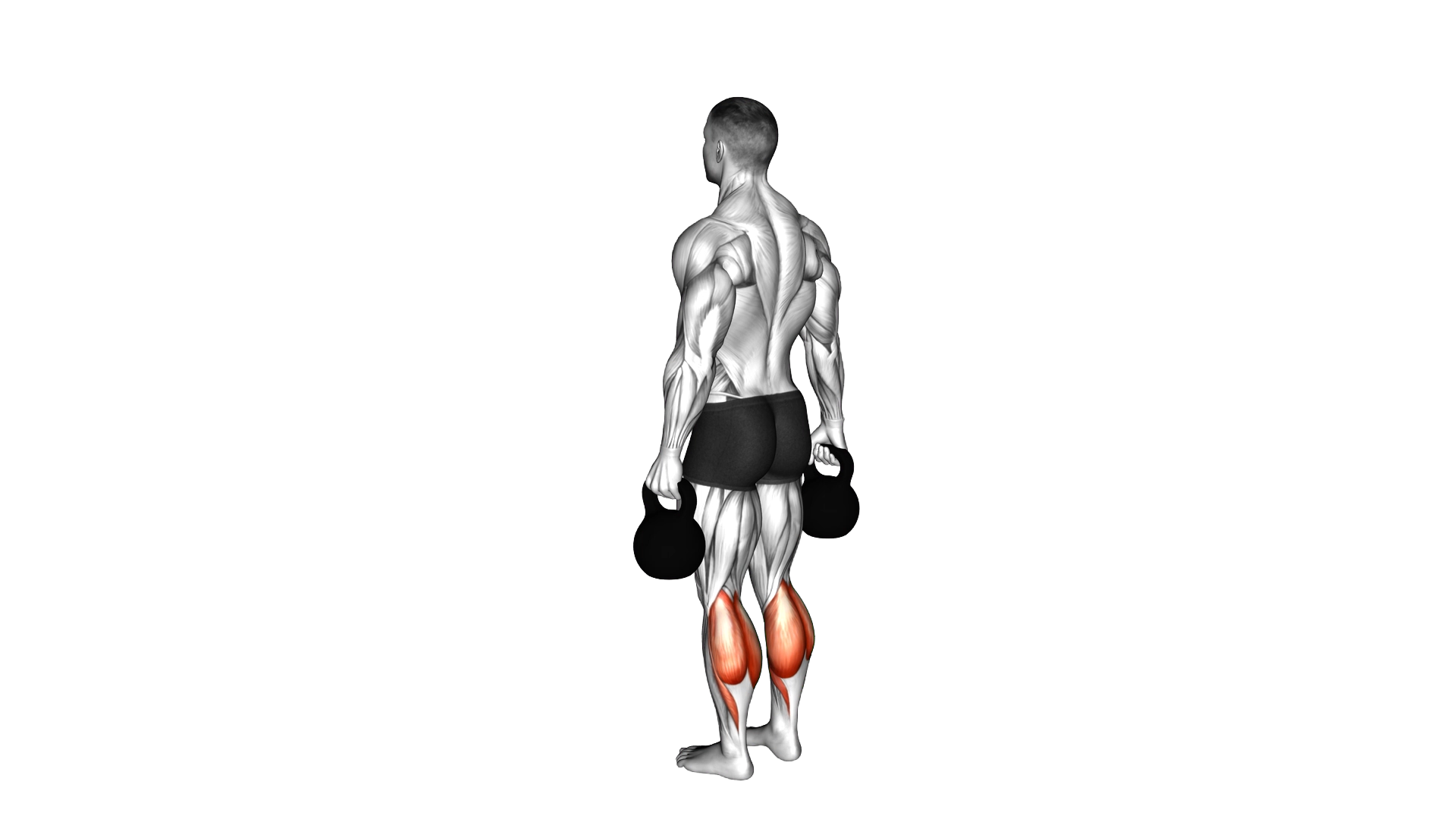 Kettlebell Standing Calf Raise exercise demonstration