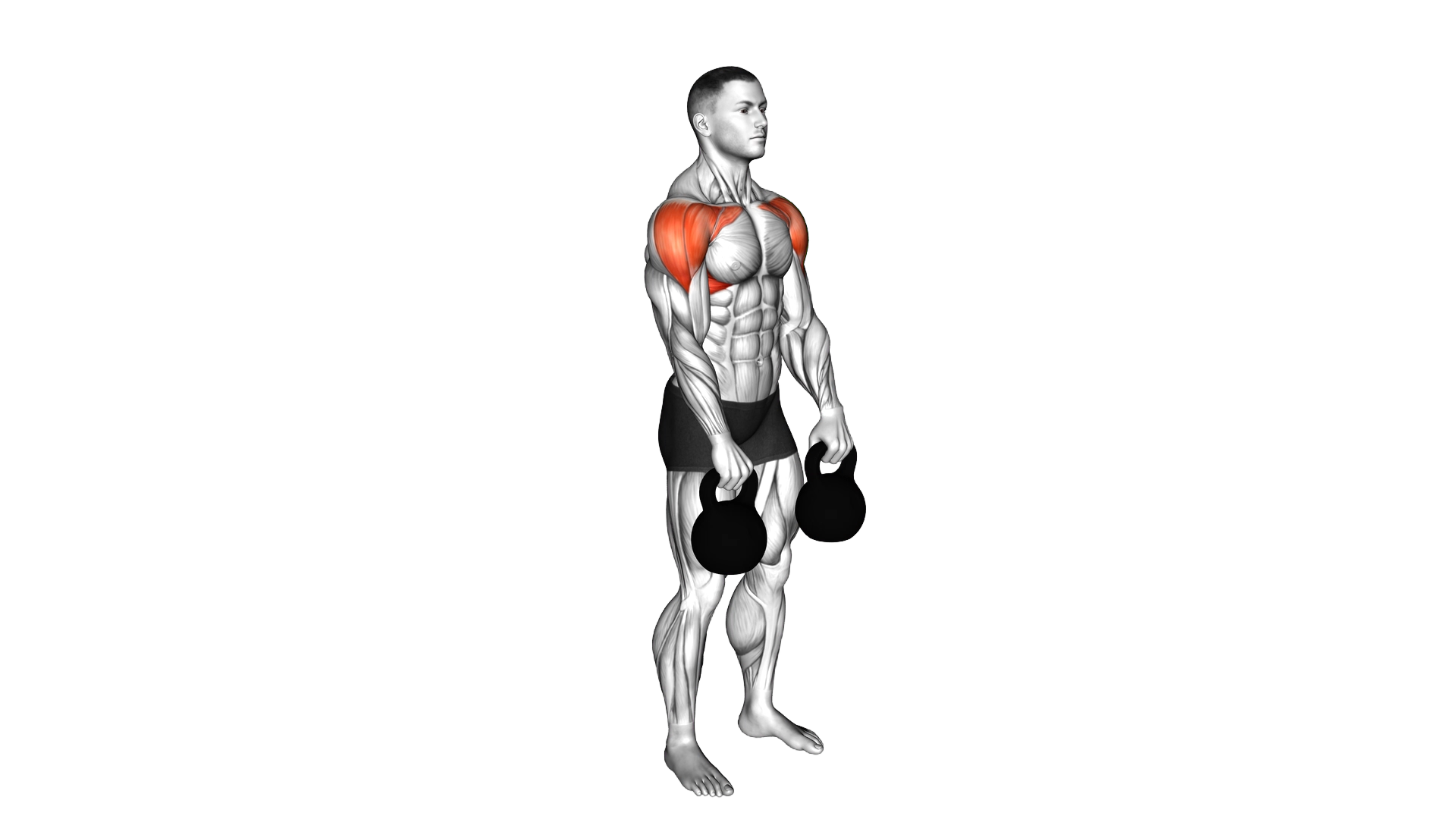 Kettlebell Front Raise exercise demonstration