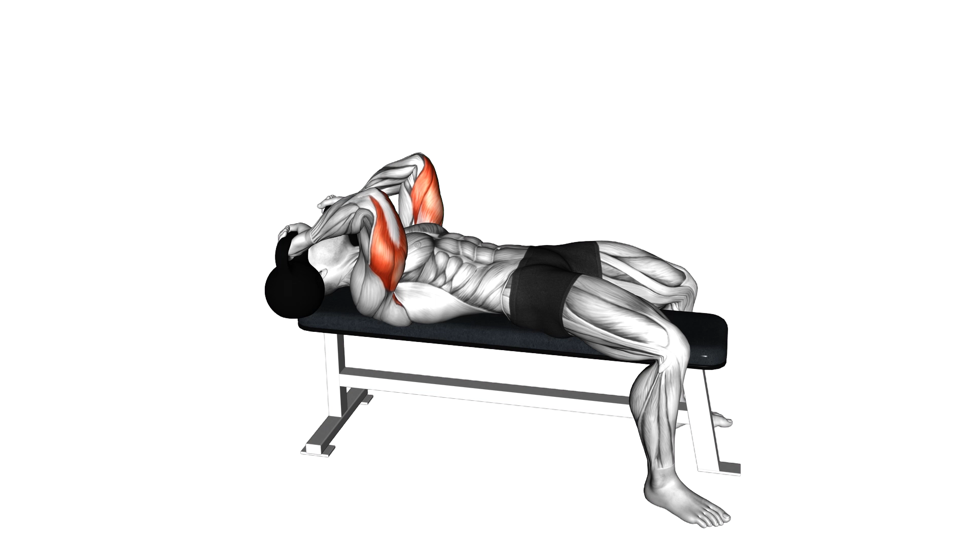 Kettlebell Lying Triceps Extension Skull Crusher exercise demonstration
