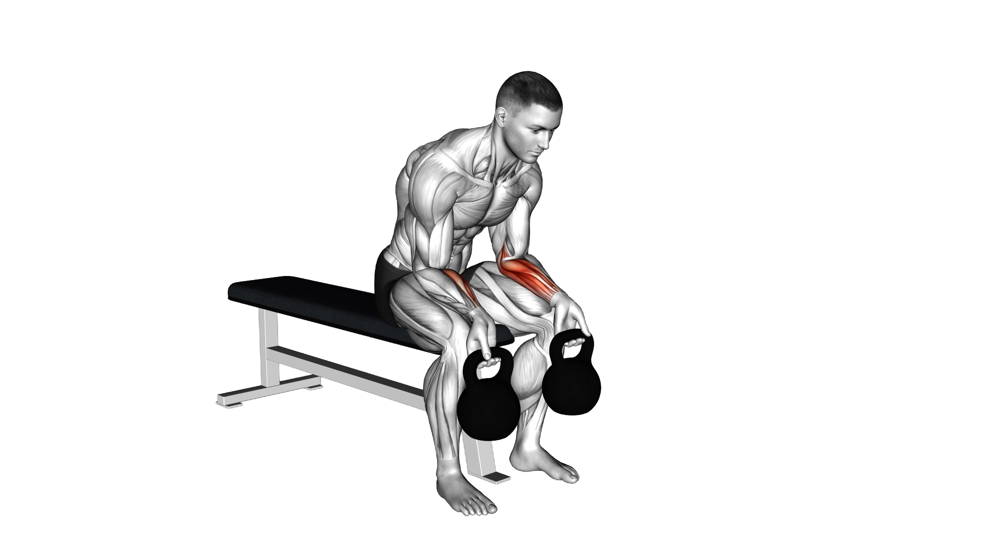Kettlebell Wrist Curl exercise demonstration