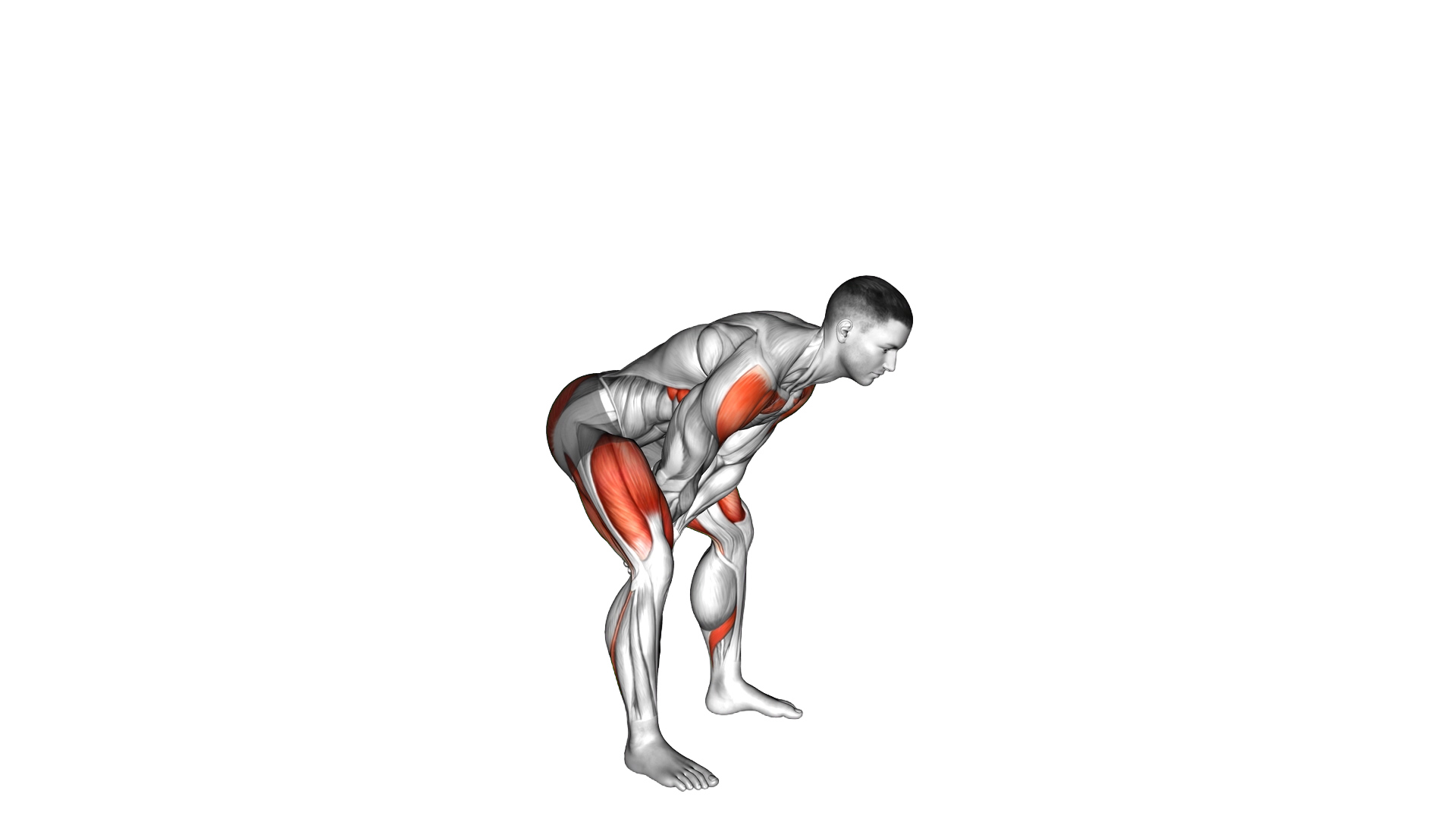 Bodyweight Swing exercise demonstration