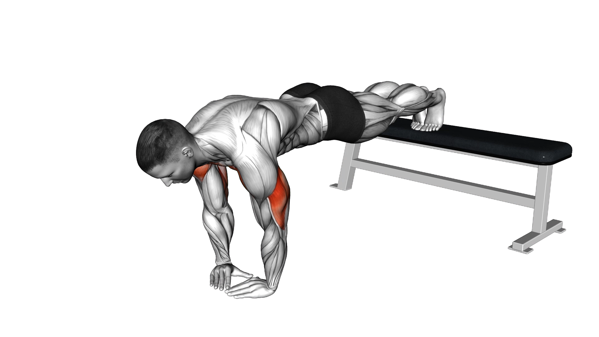 Decline Diamond Push up exercise demonstration