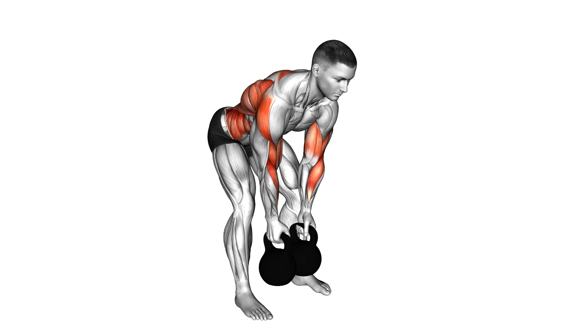 Kettlebell Bent over Alternate Twist Row exercise demonstration