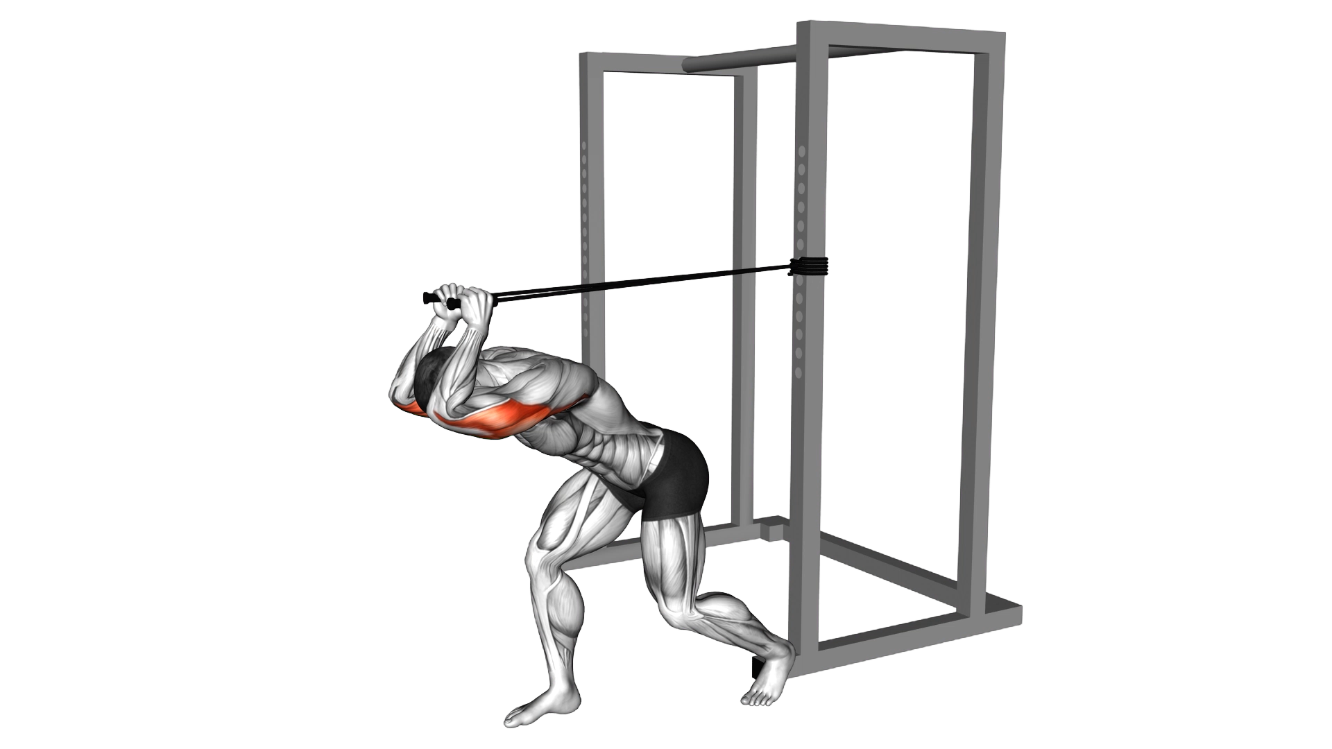 Band High Pulley Overhead Triceps Extension exercise demonstration