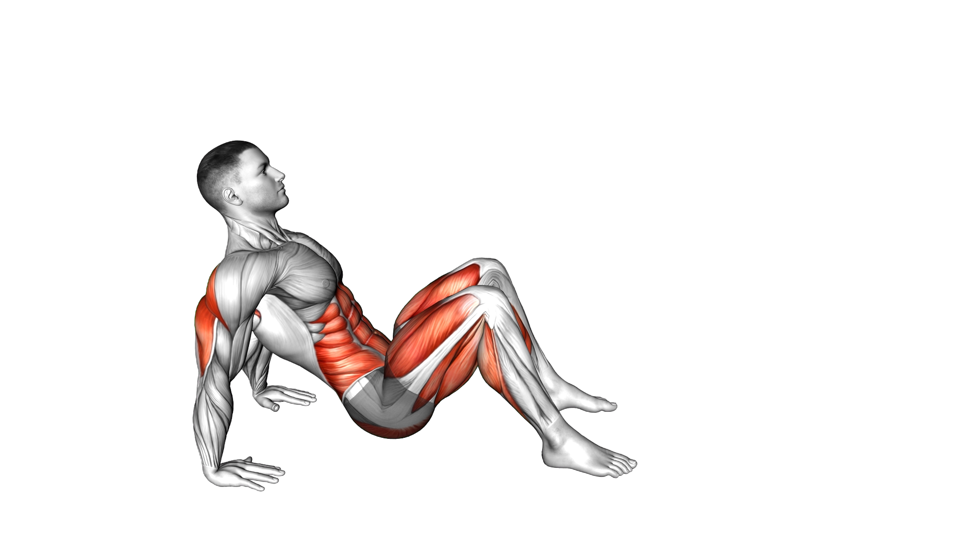Crab Walk exercise demonstration