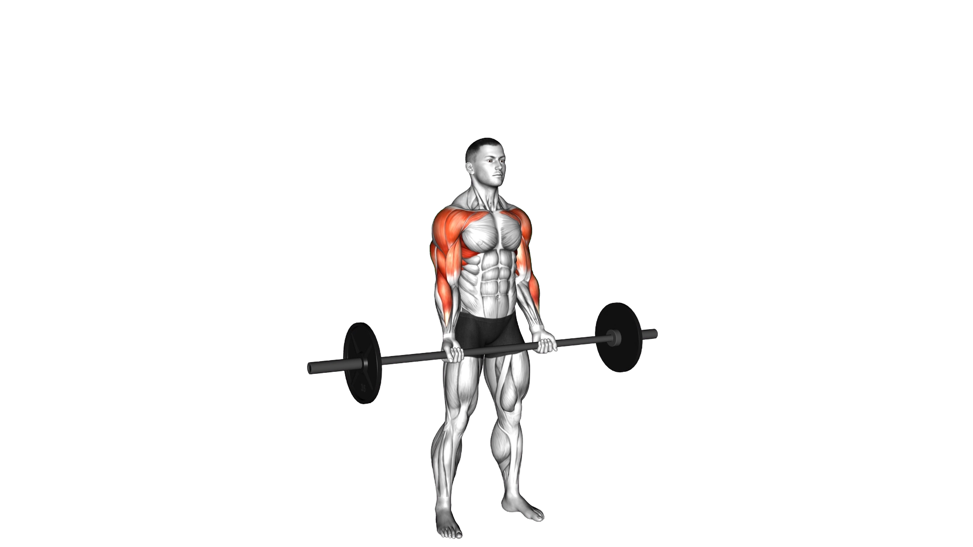 Barbell Curl Press Extension exercise demonstration