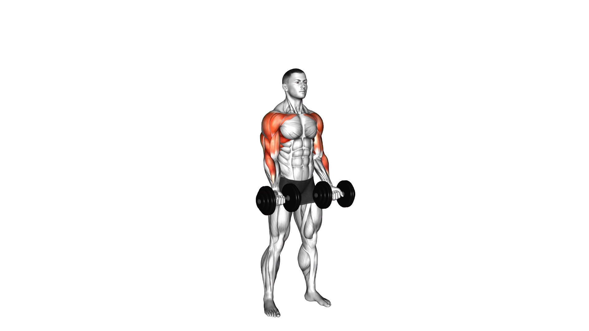Dumbbell Curl Press Extension exercise demonstration