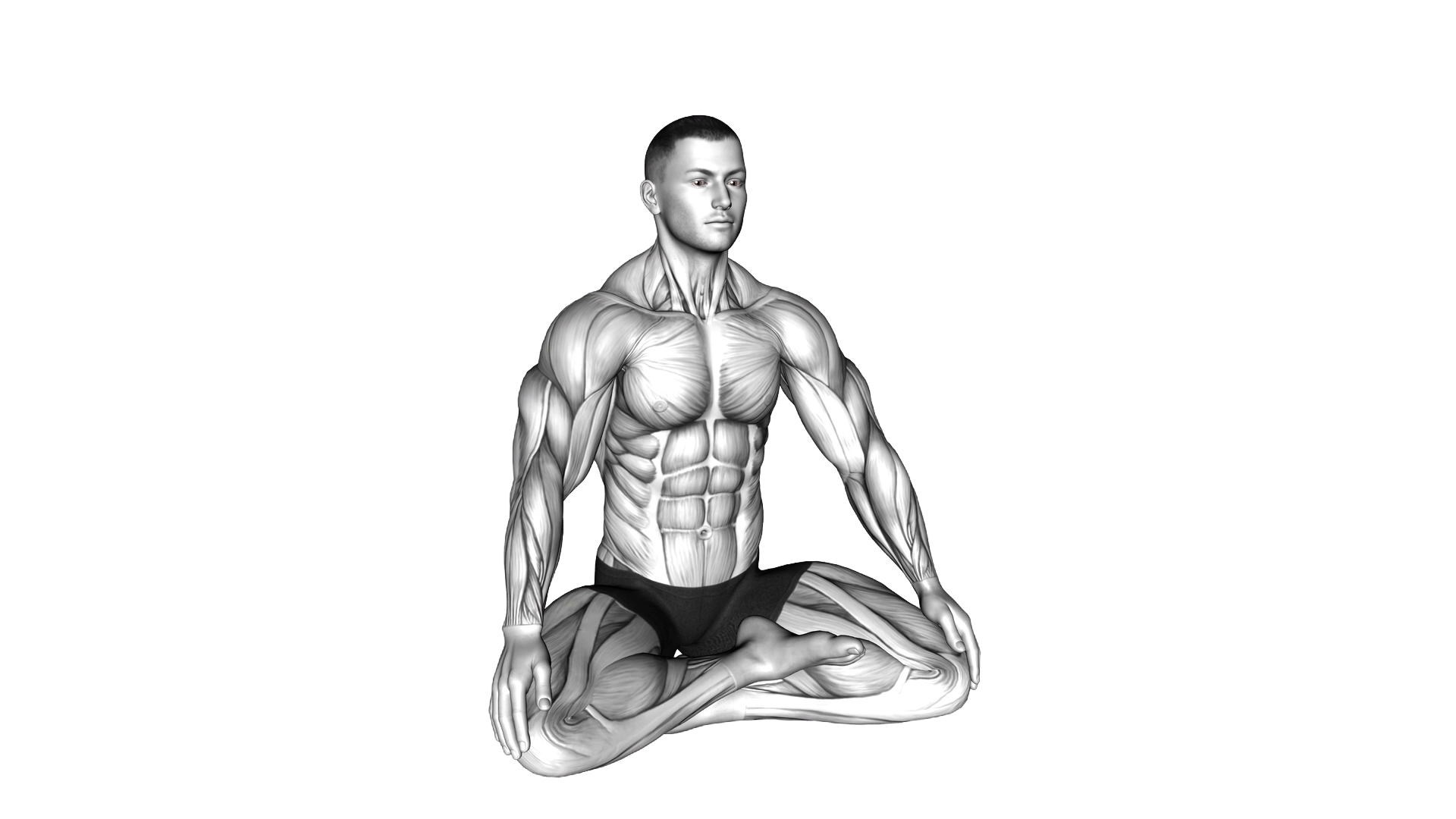 Lotus Pose Breathing exercise demonstration