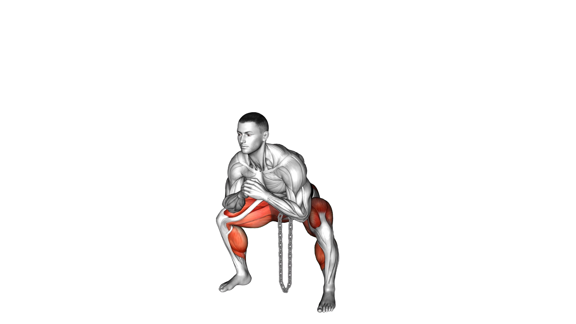 Weighted Chain Sumo Deadlift exercise demonstration