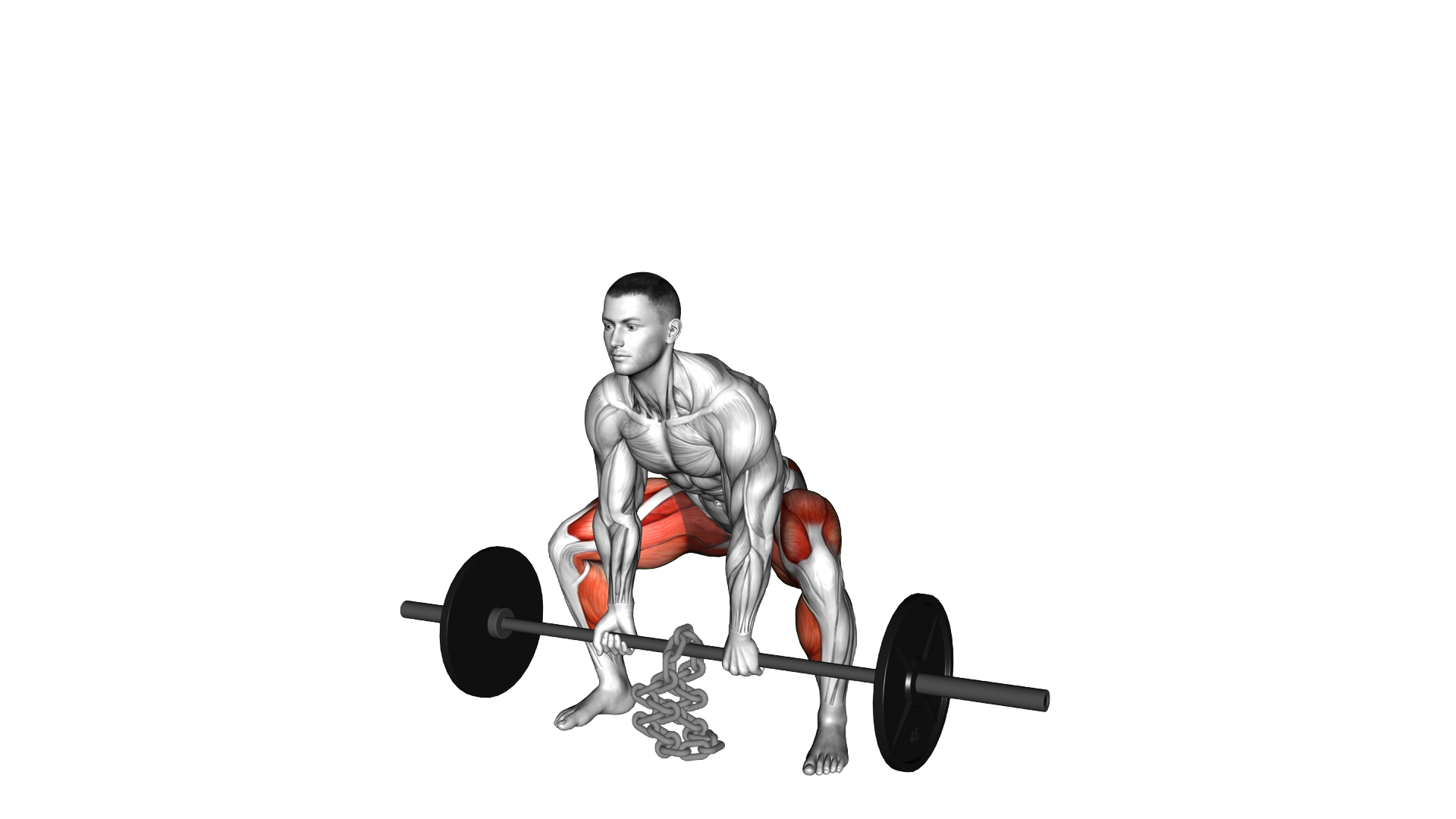 Barbell Weighted Chains Sumo Deadlift exercise demonstration
