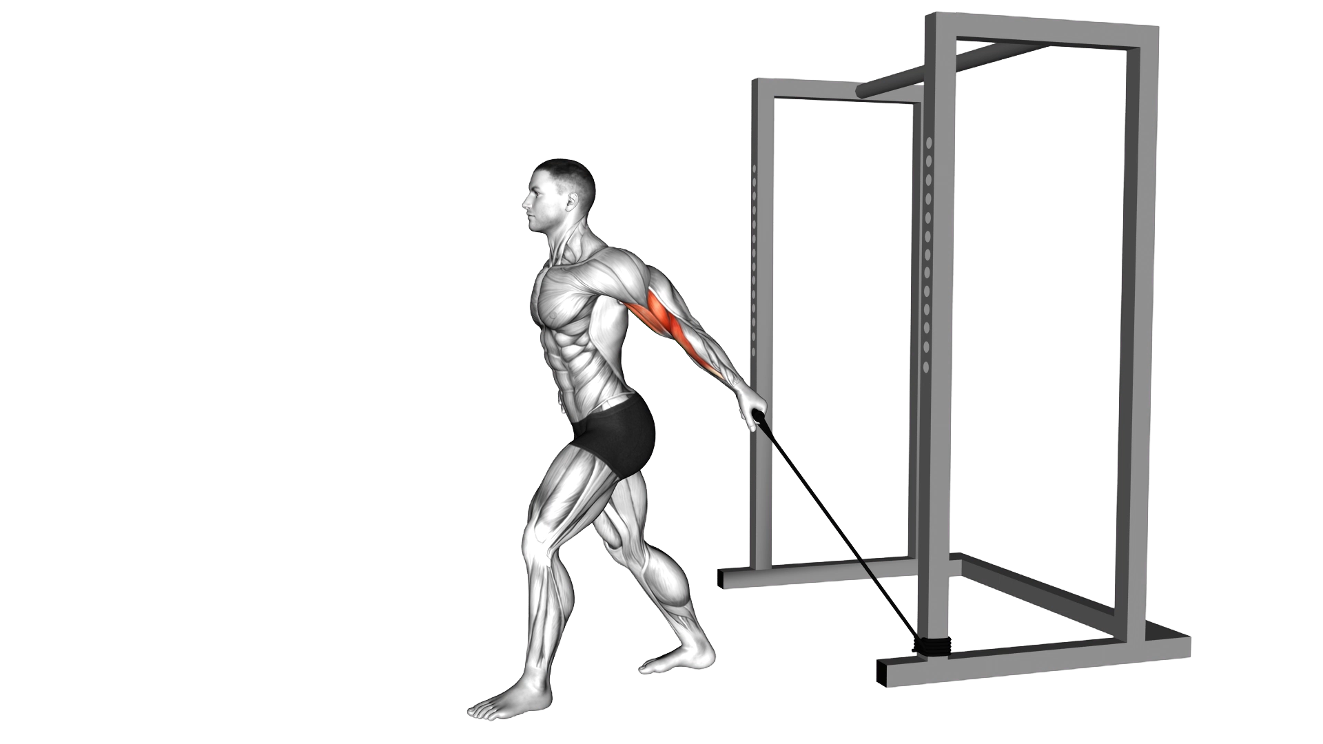 Band 45 degrees One Arm Biceps Curl exercise demonstration