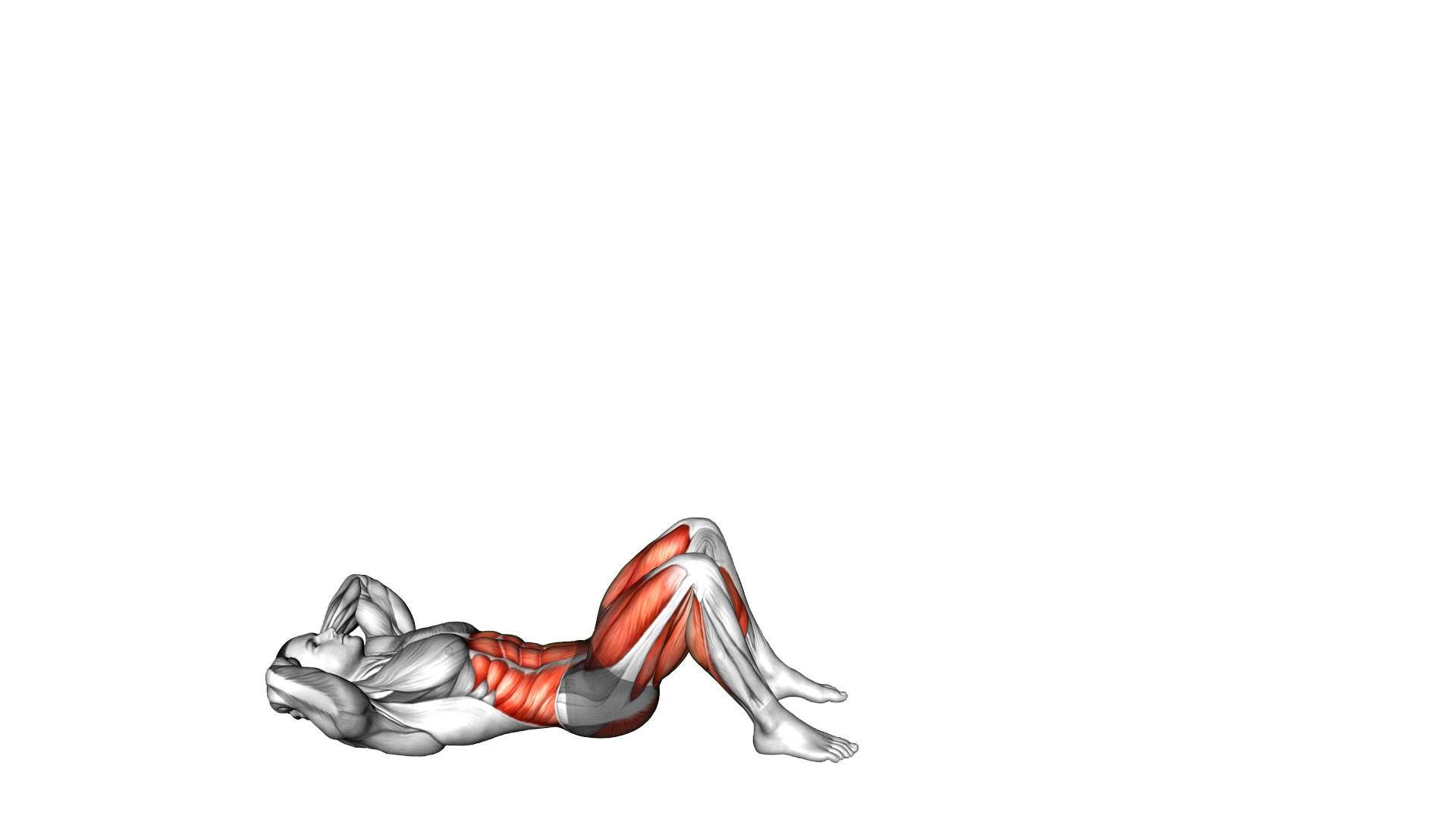 Fixed Feet Sit Up Stand exercise demonstration