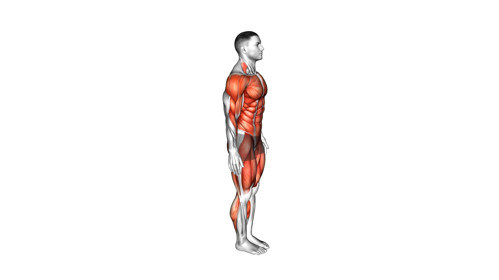 Burpee Shuffle exercise demonstration