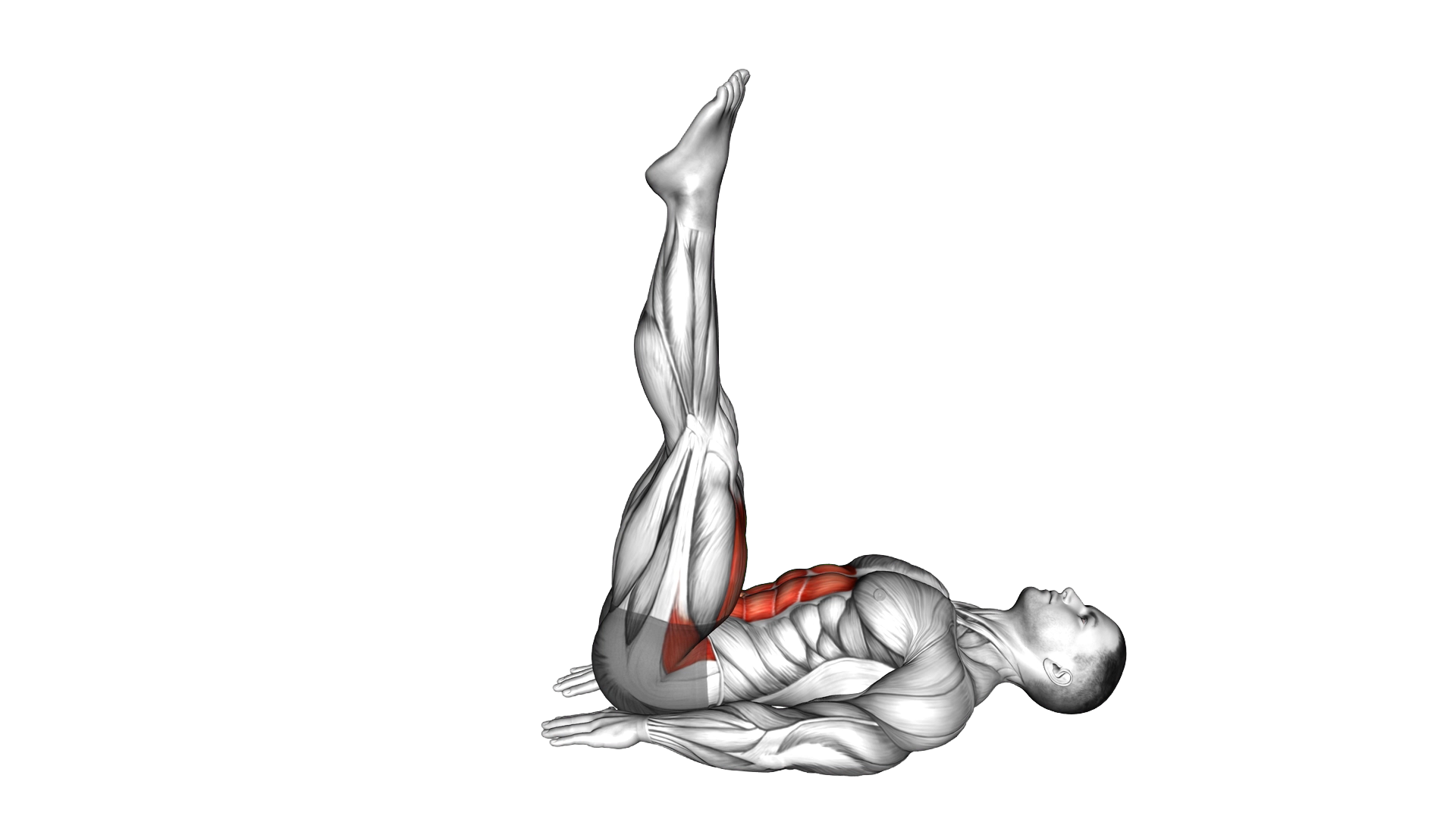 Lying Single Leg Raise exercise demonstration