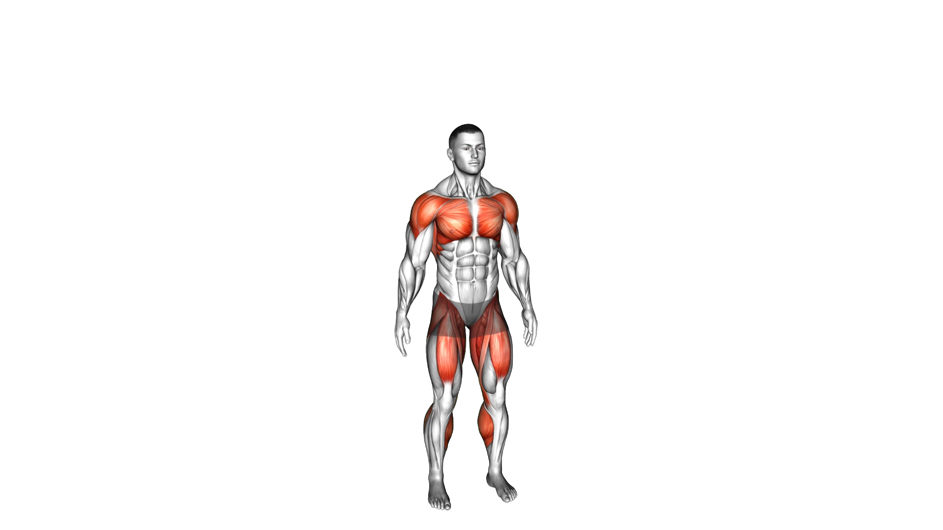 Half to Full Jumping Jack exercise demonstration