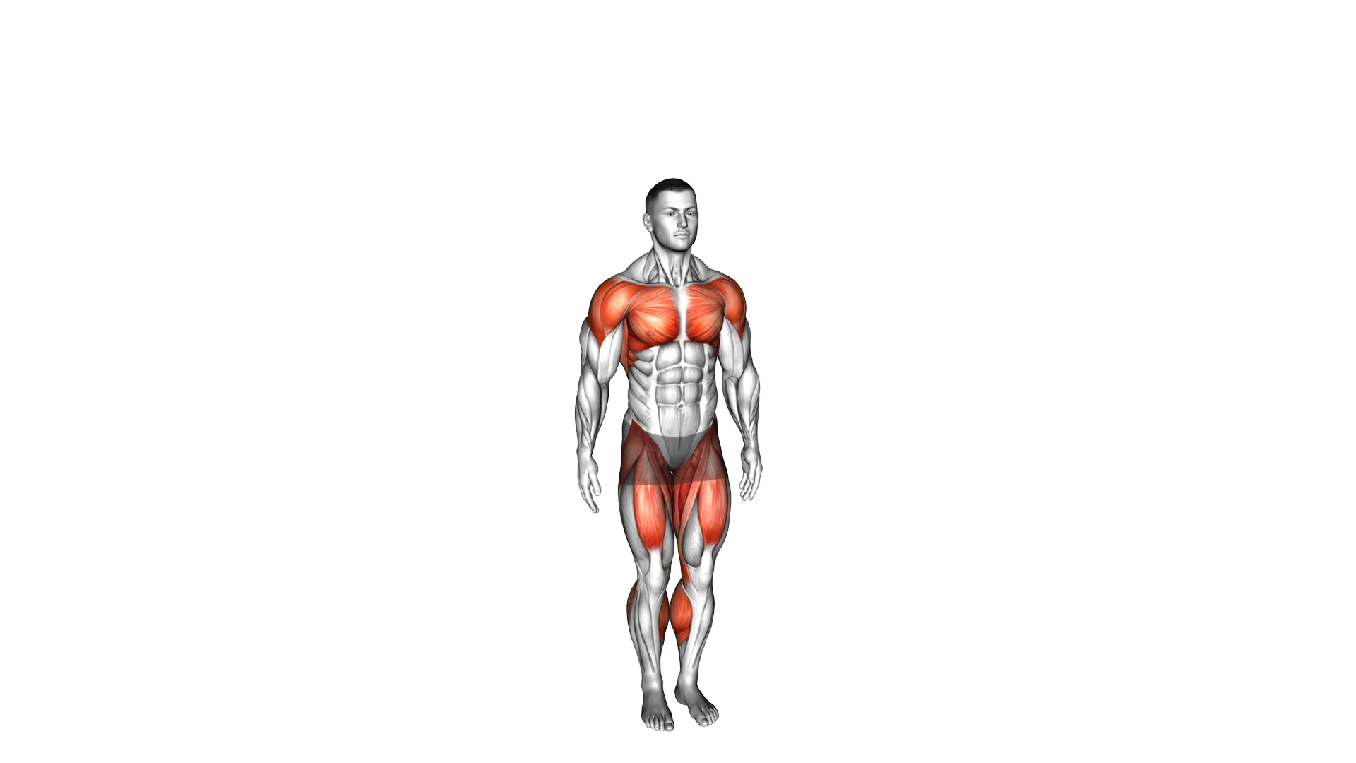 Butt Kick and Jumping Jack exercise demonstration