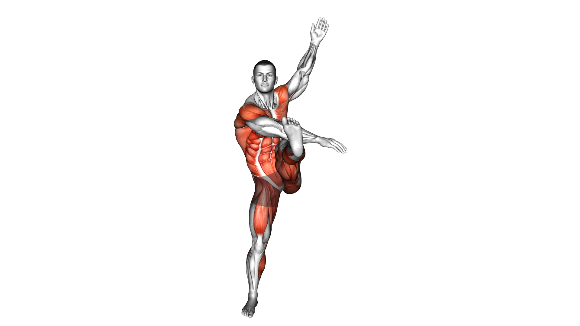 Star Obliques Twist High Knee exercise demonstration