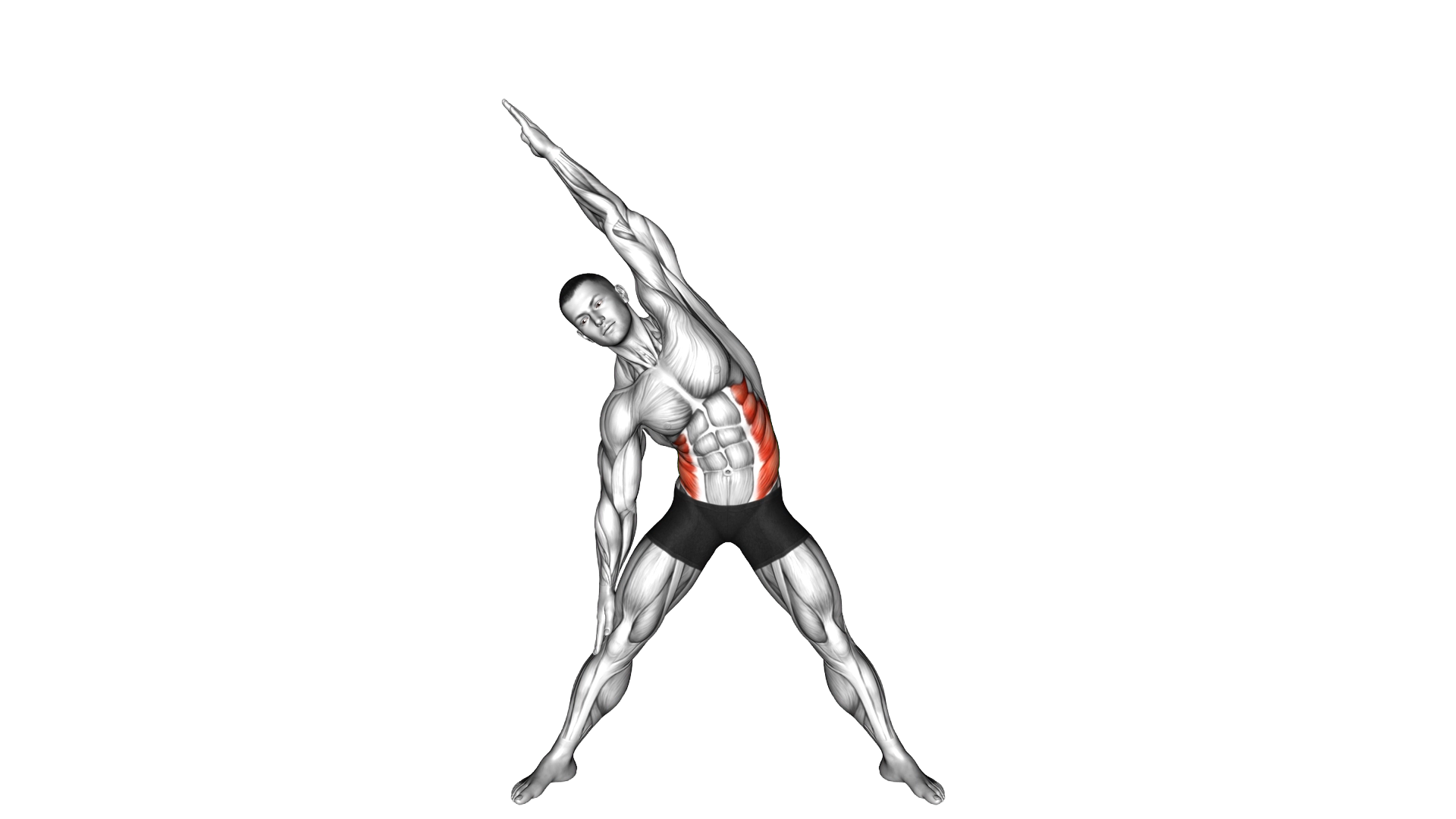Standing Obliques Slides exercise demonstration