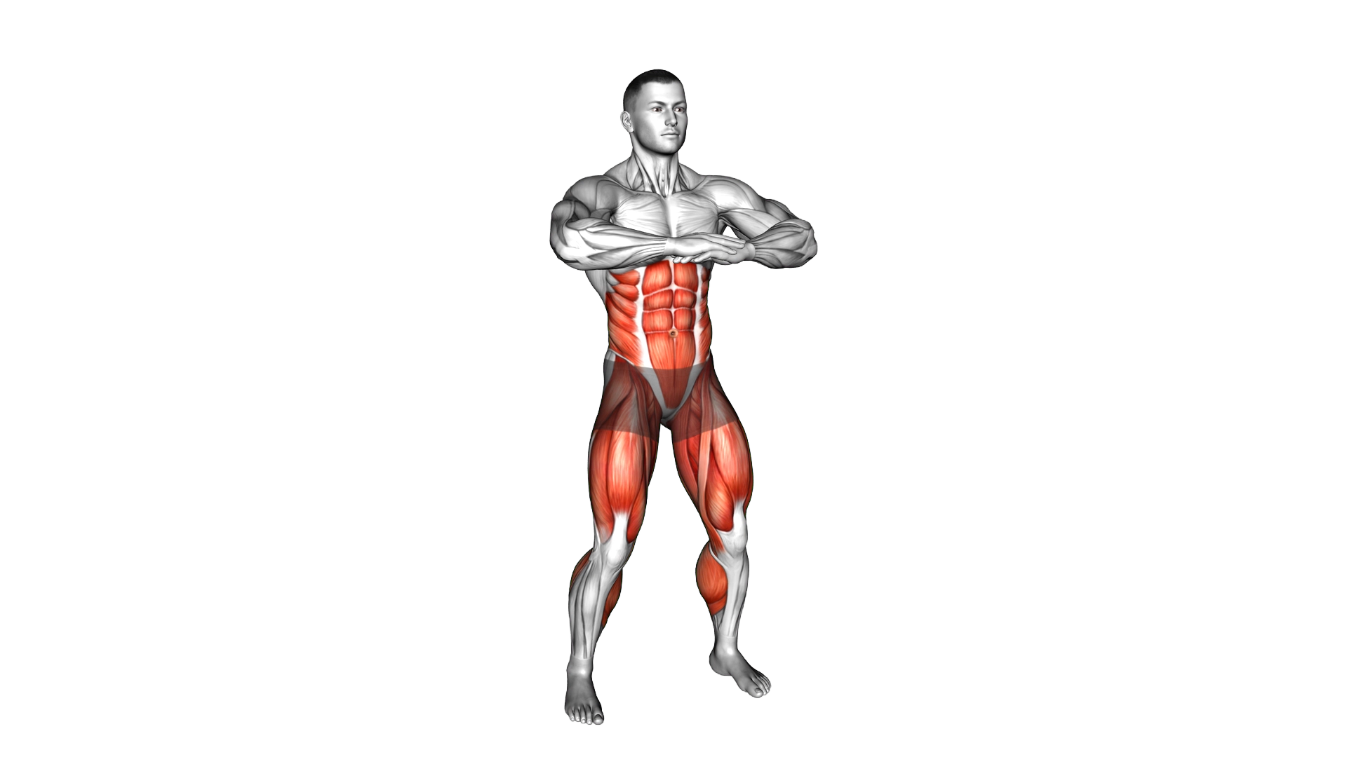 Obliques Twist High Knee and Kick exercise demonstration