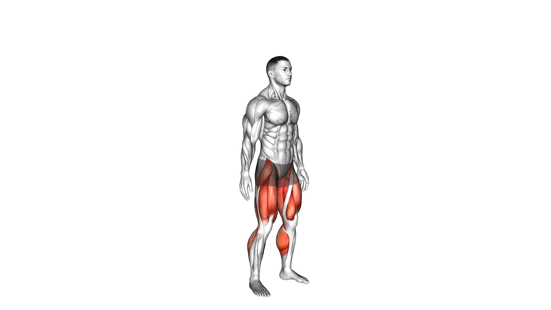 Jump Twist exercise demonstration