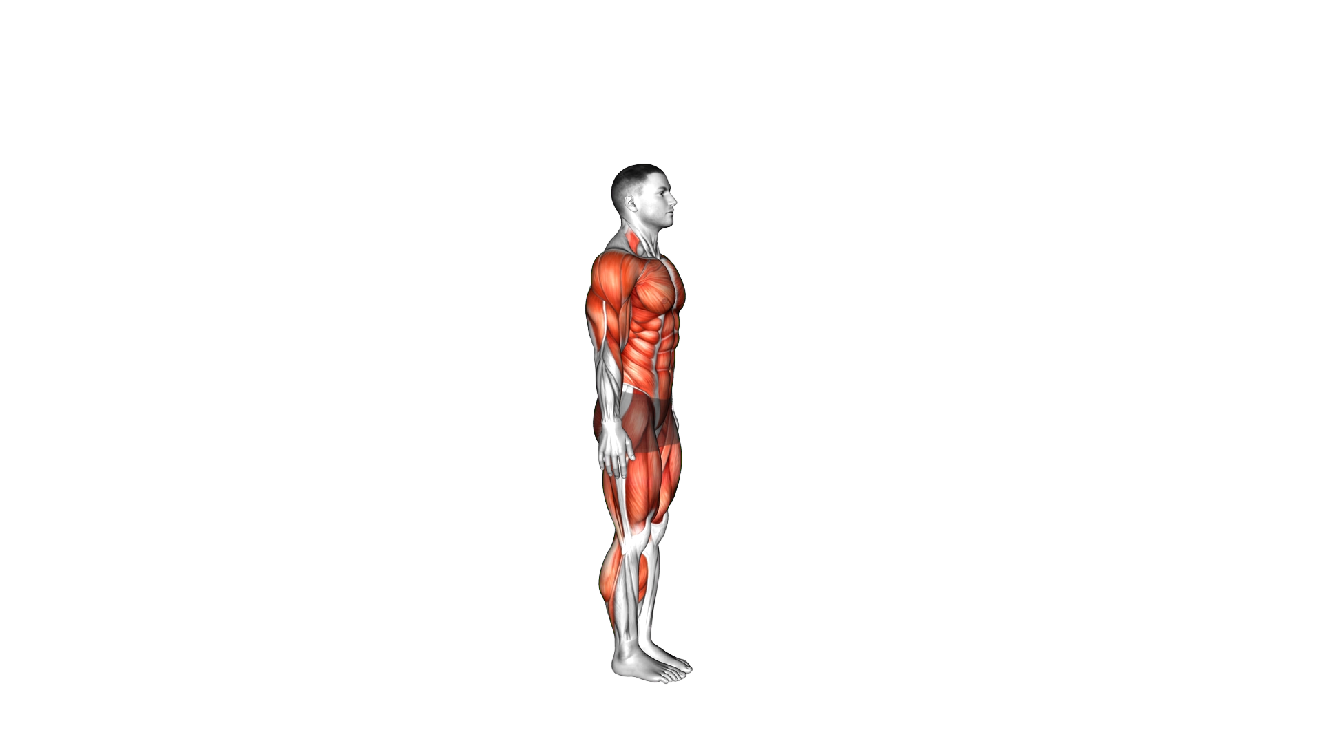Burpee Twist exercise demonstration