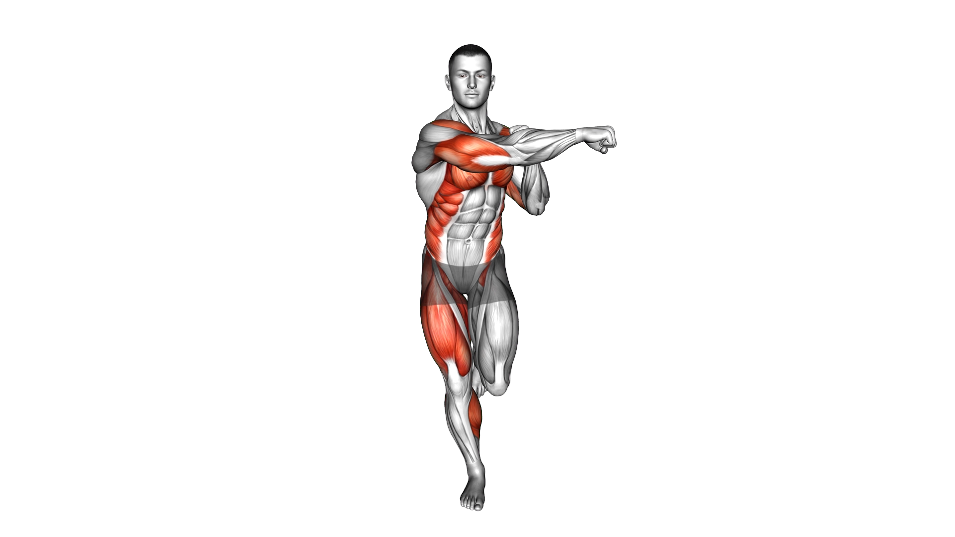 Single Leg Balance Cross Punch exercise demonstration