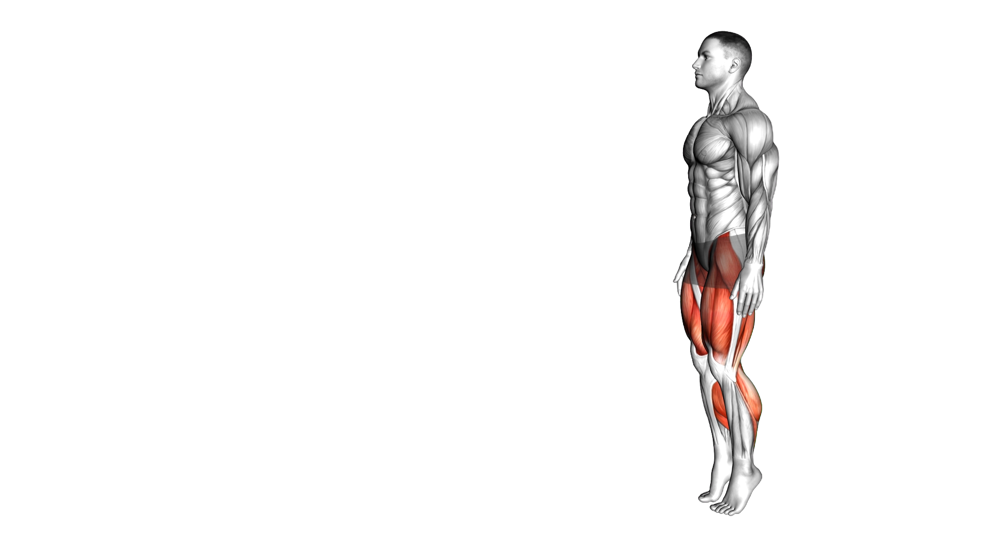 Tight Rope Walk exercise demonstration