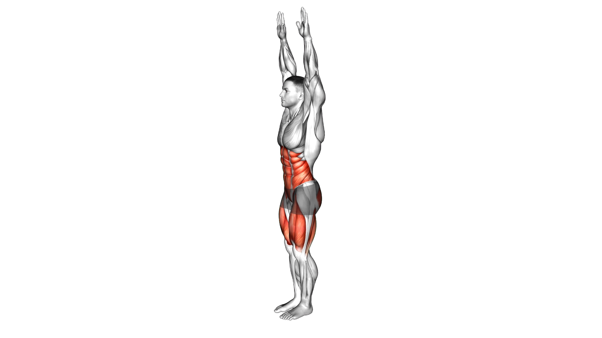 Toy Soldier Dynamic Stretch exercise demonstration