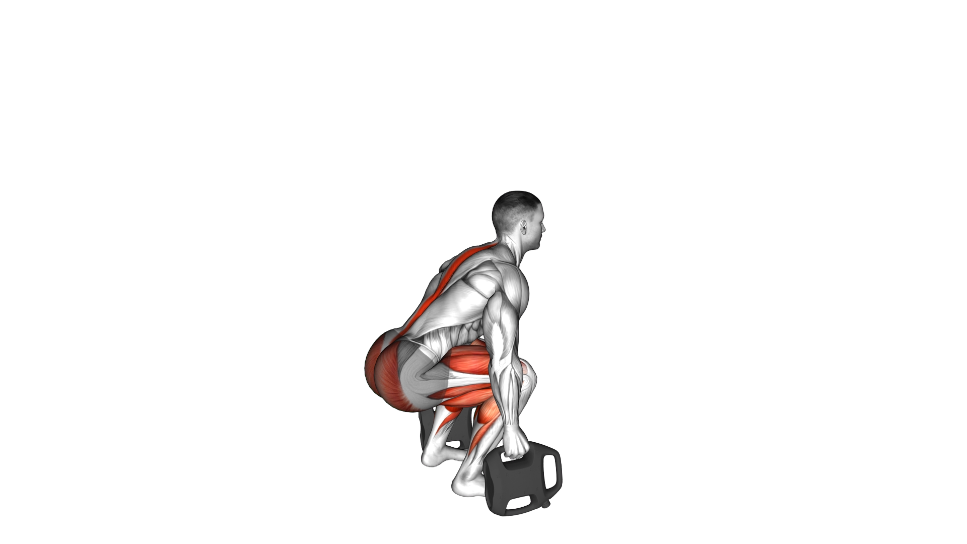 Bottle Weighted Deadlift exercise demonstration