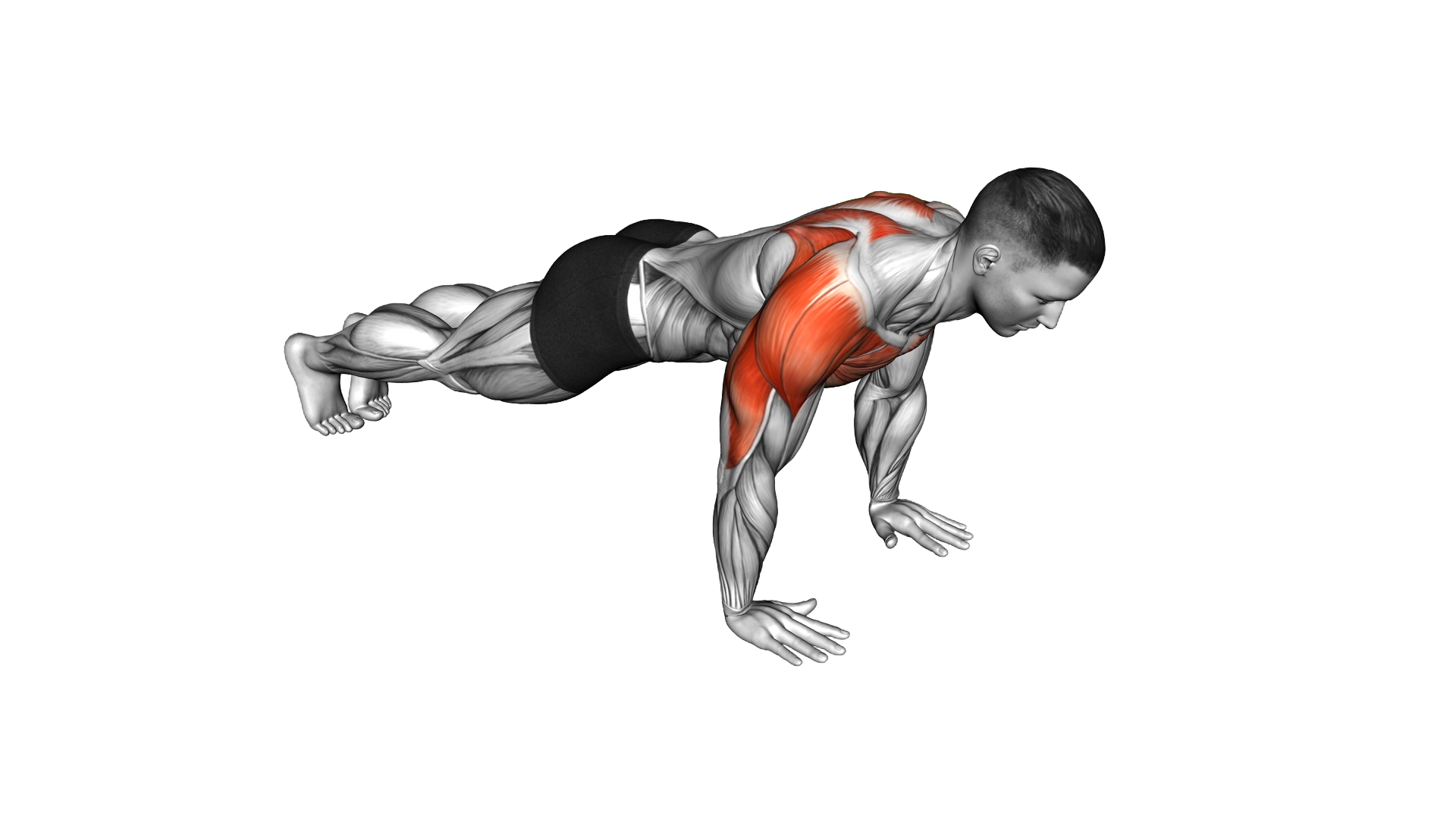 Lay Down Push Up exercise demonstration