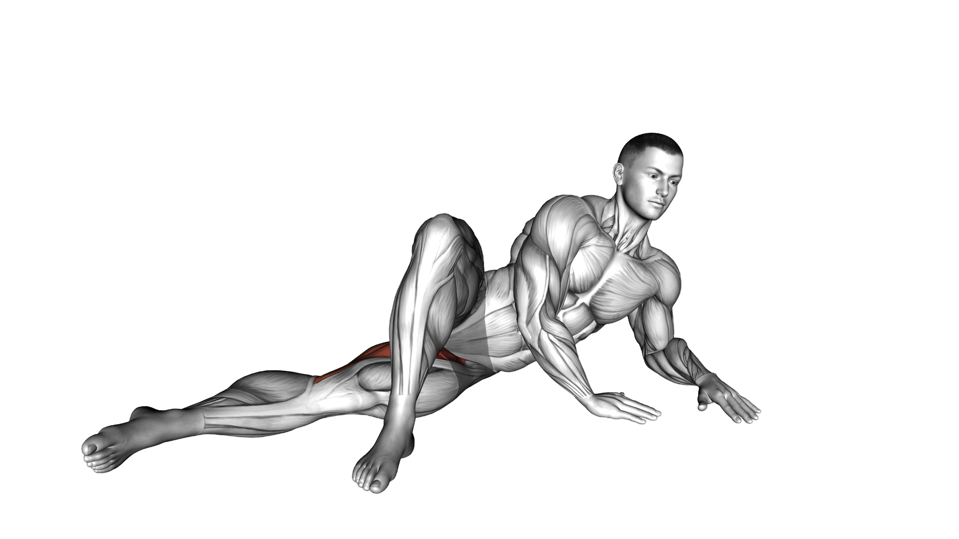 Side Lying Hip Adduction (left) exercise demonstration