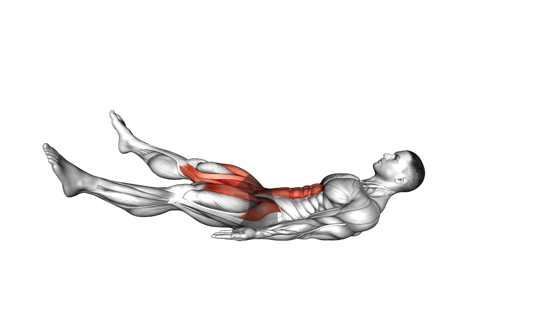 Lying Toe Tap exercise demonstration