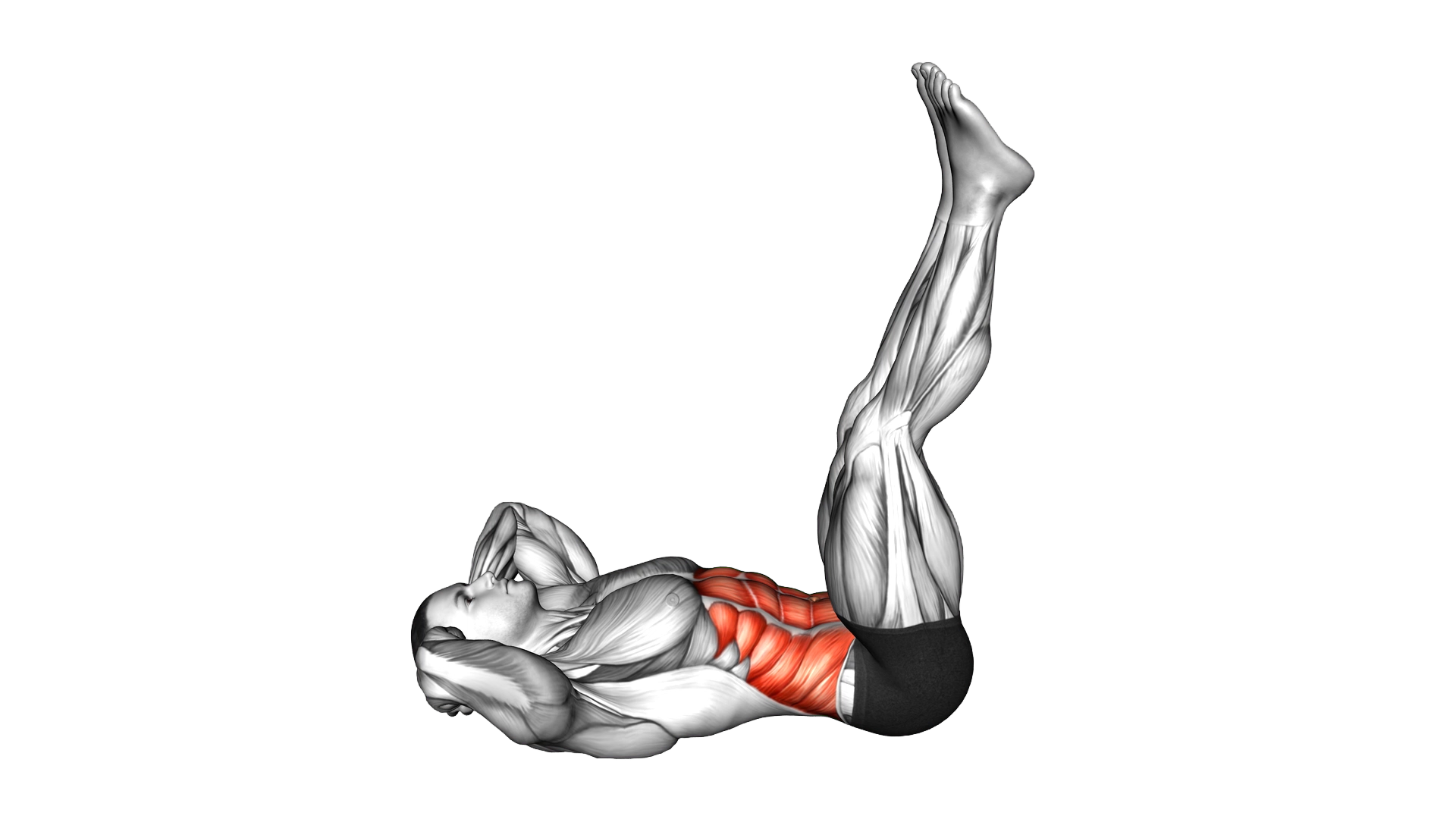 Lying Crunch (straight legs) exercise demonstration