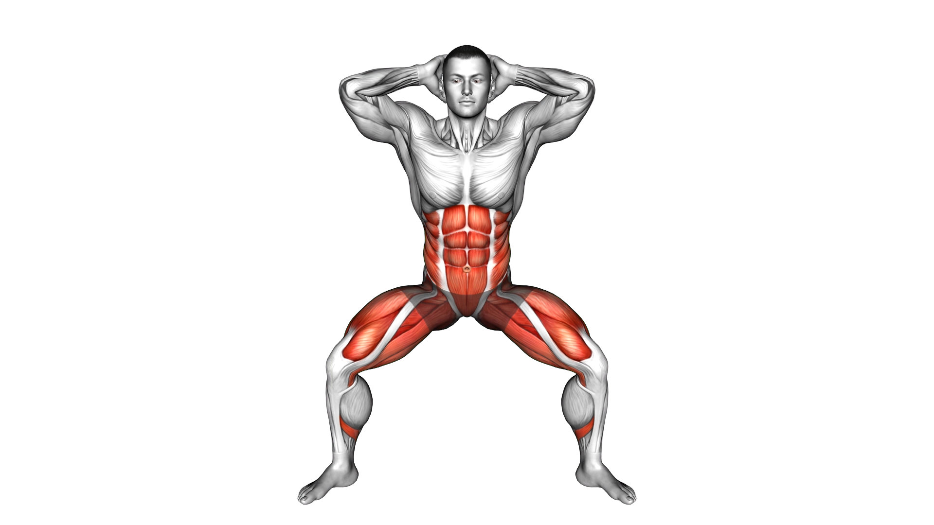 Half Squat Side Reach exercise demonstration